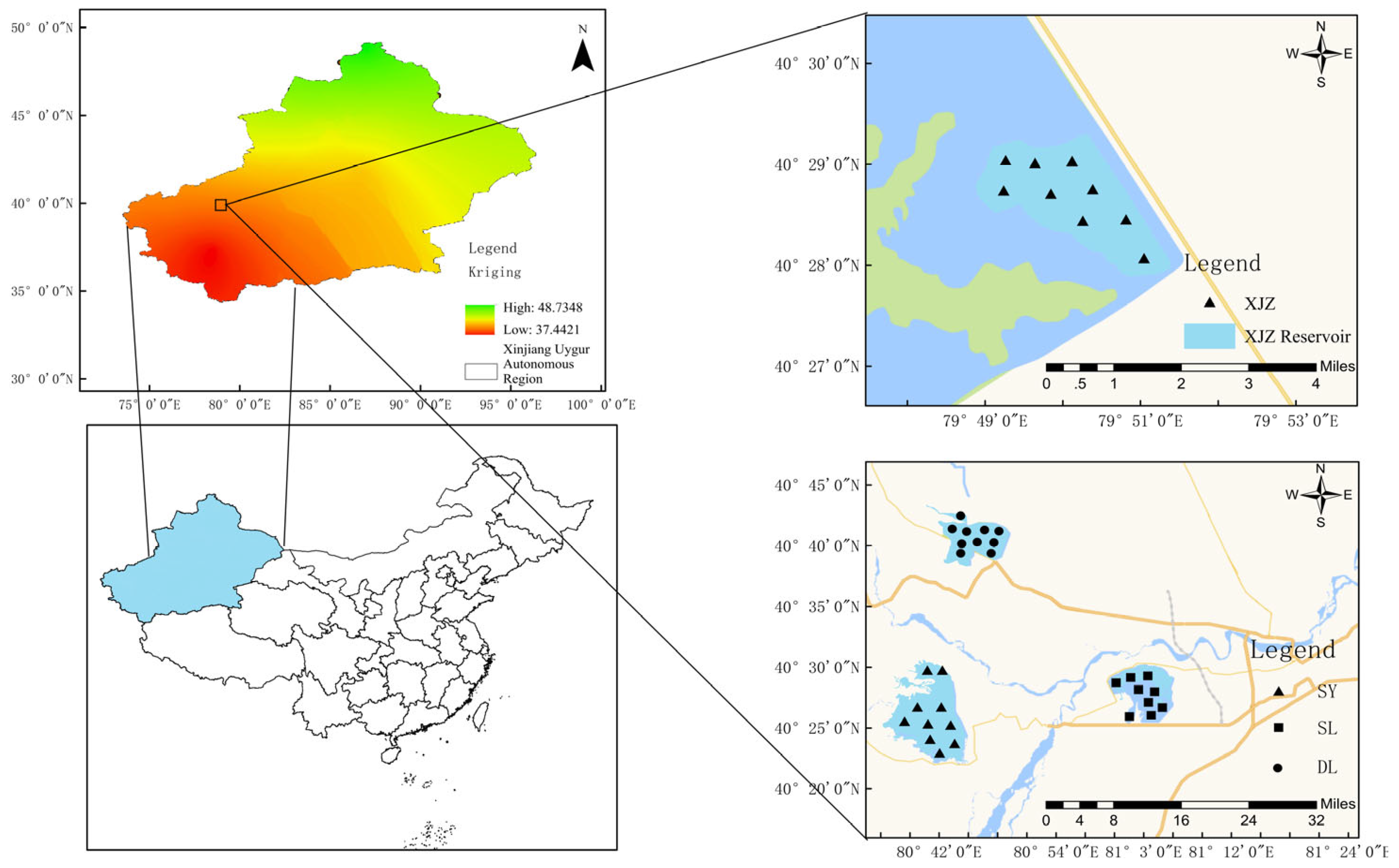 Biology 14 01564 g001