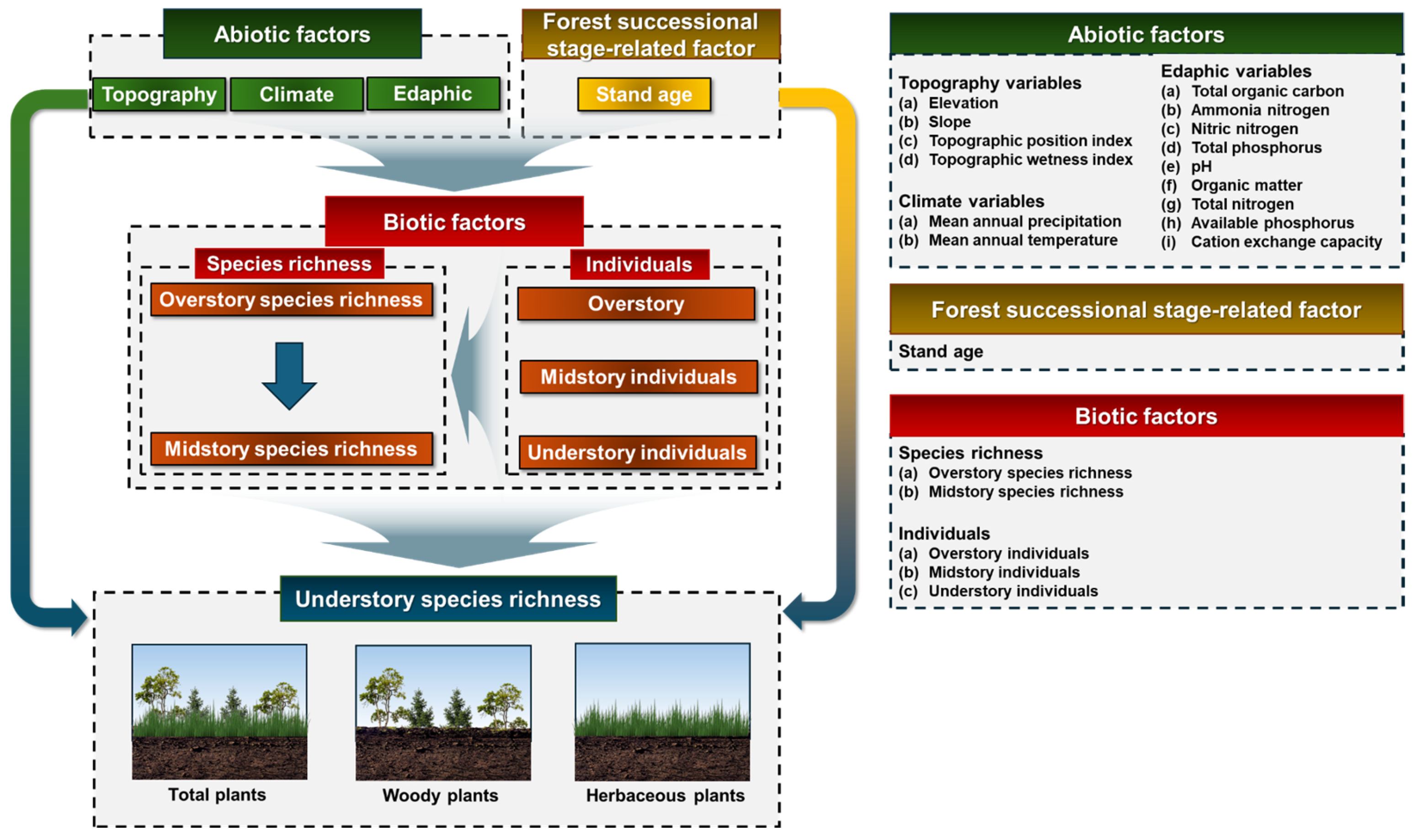 Biology 14 01565 g001 Biology 14 01565 g001