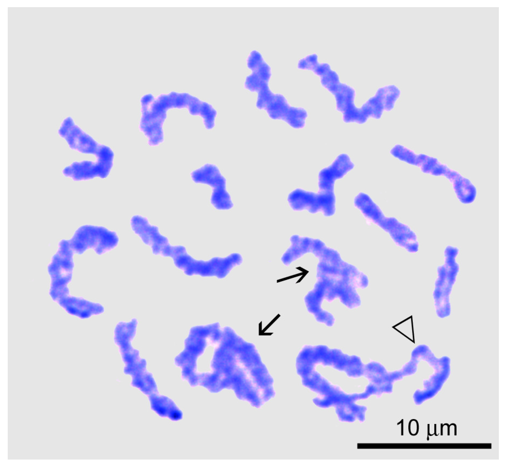 Biology 14 01572 g003