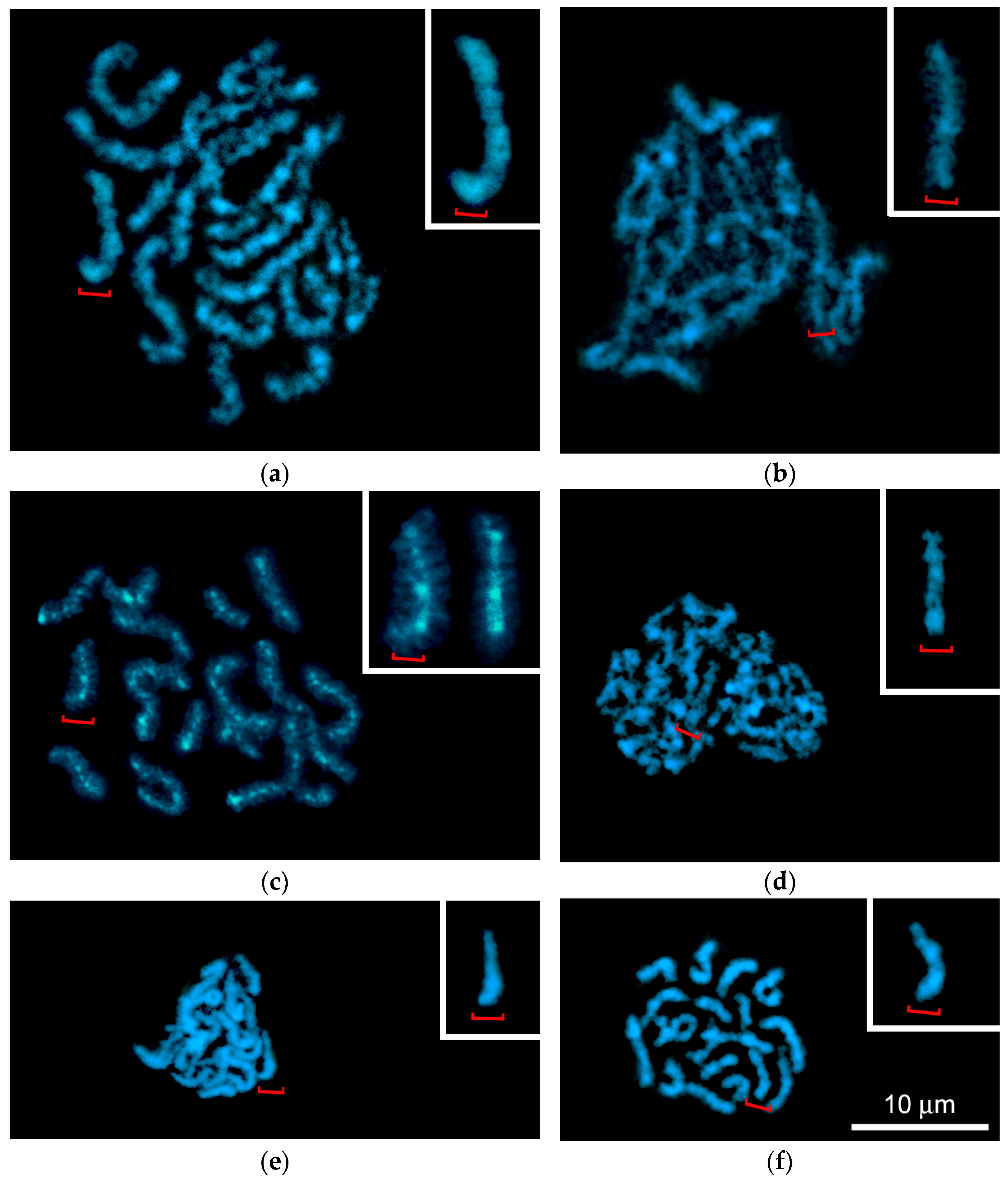 Biology 14 01572 g004