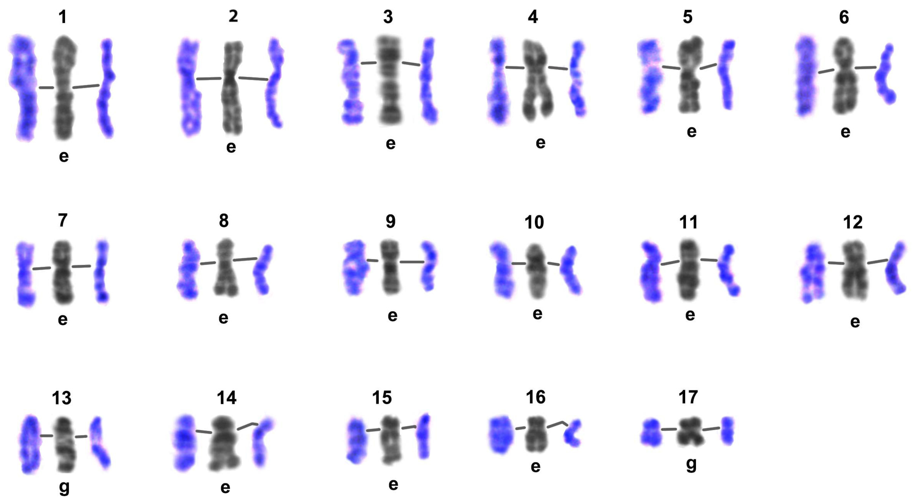 Biology 14 01572 g008
