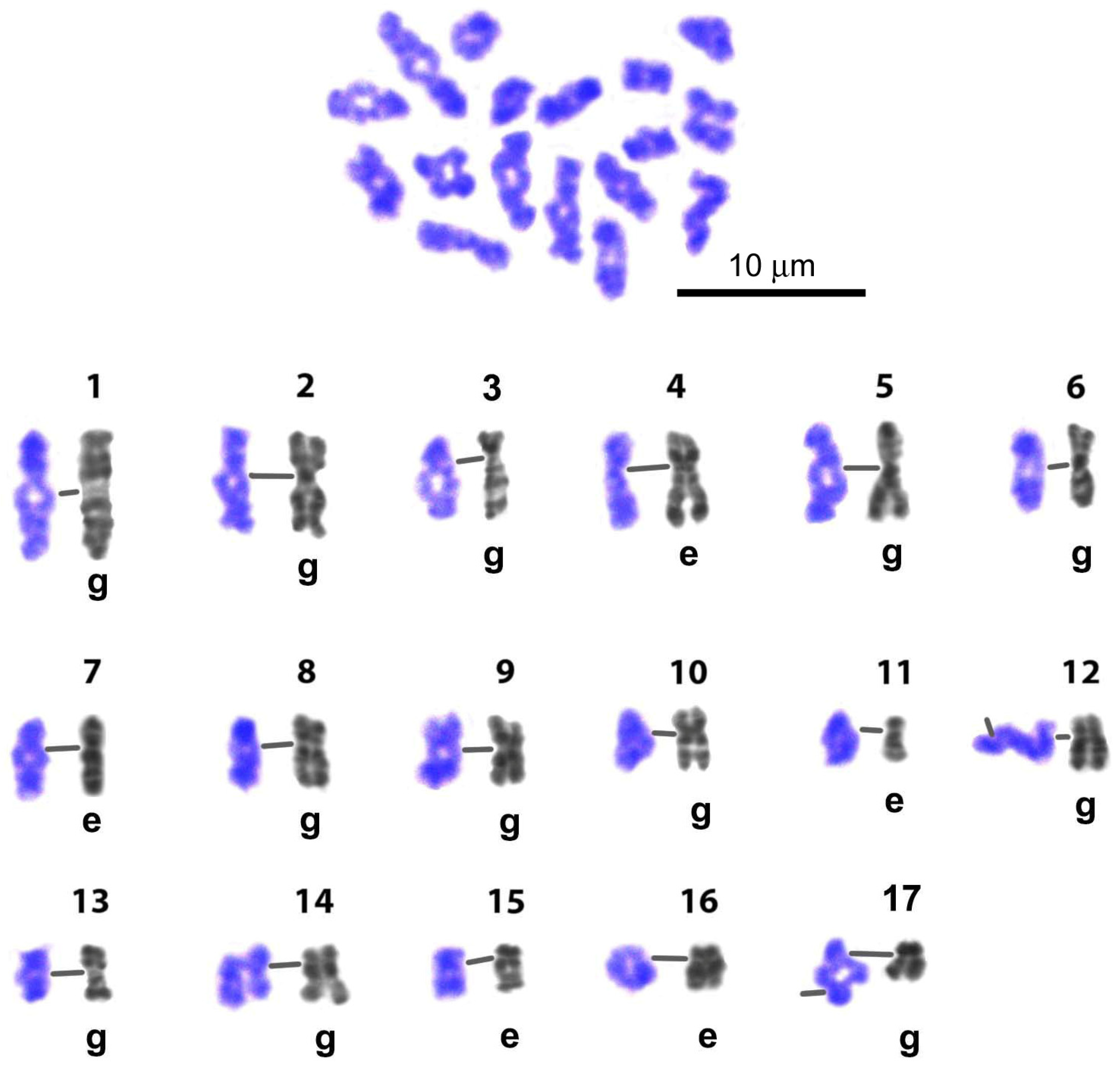 Biology 14 01572 g009