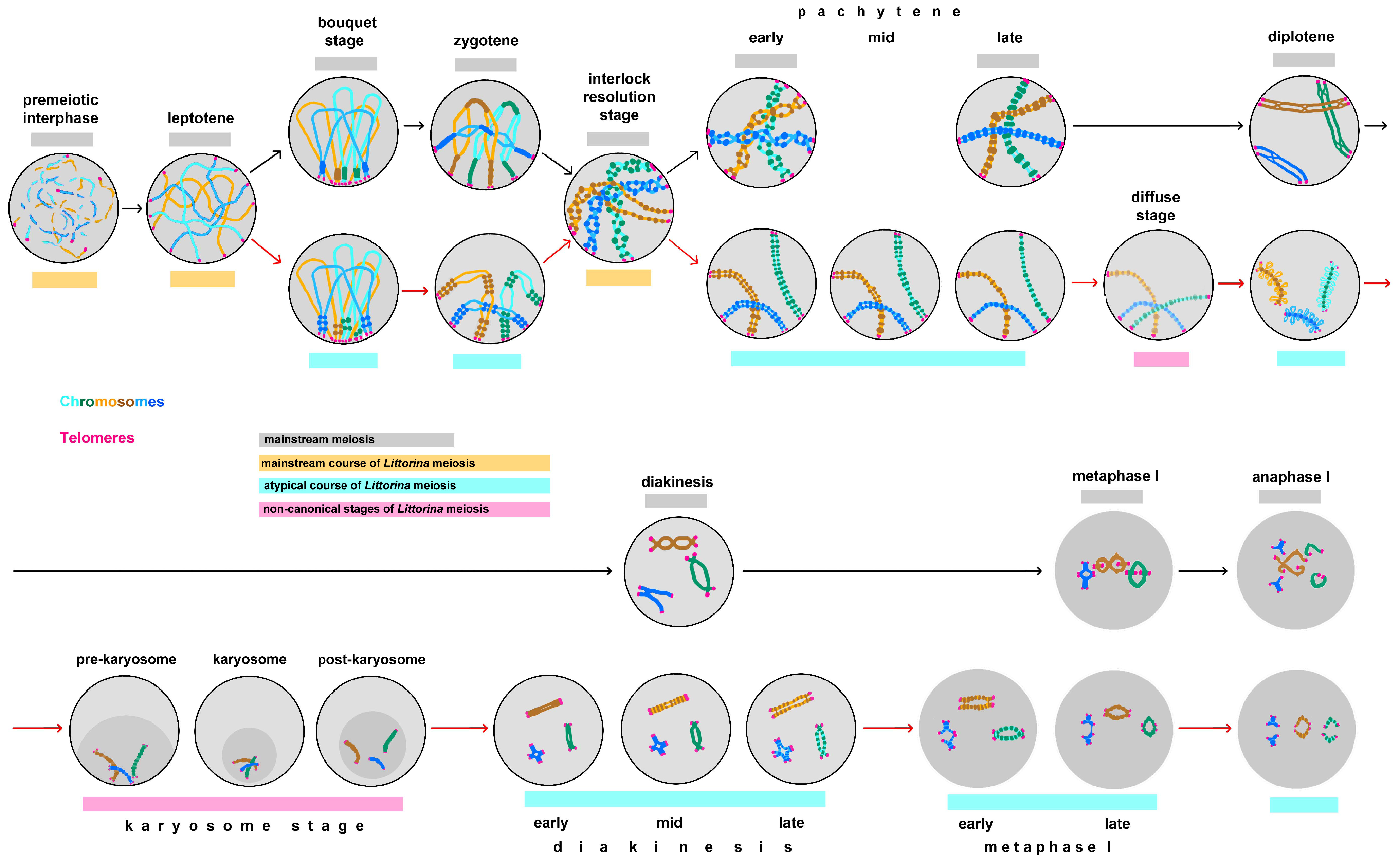 Biology 14 01572 g011