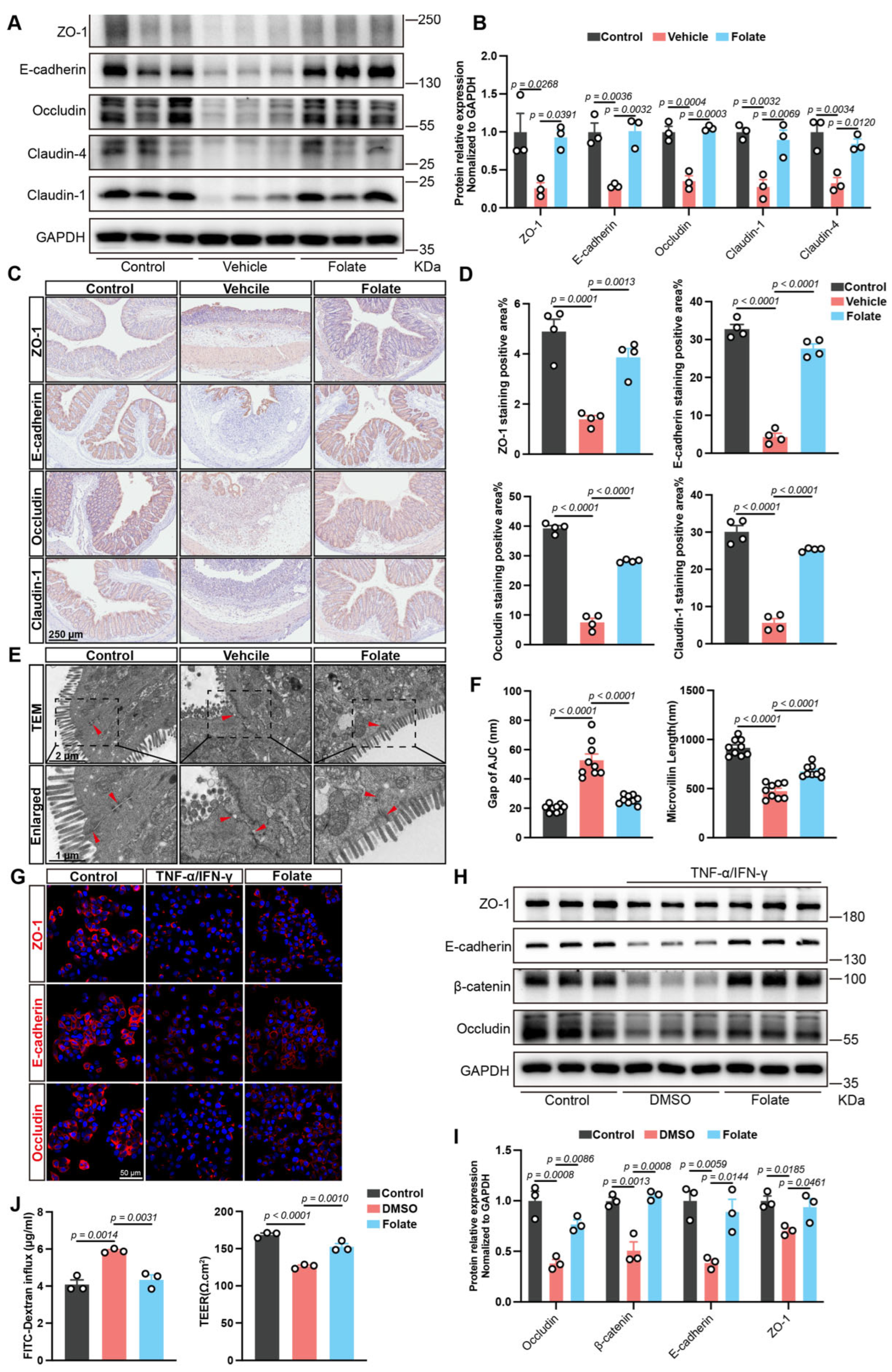 Biology 14 01573 g003