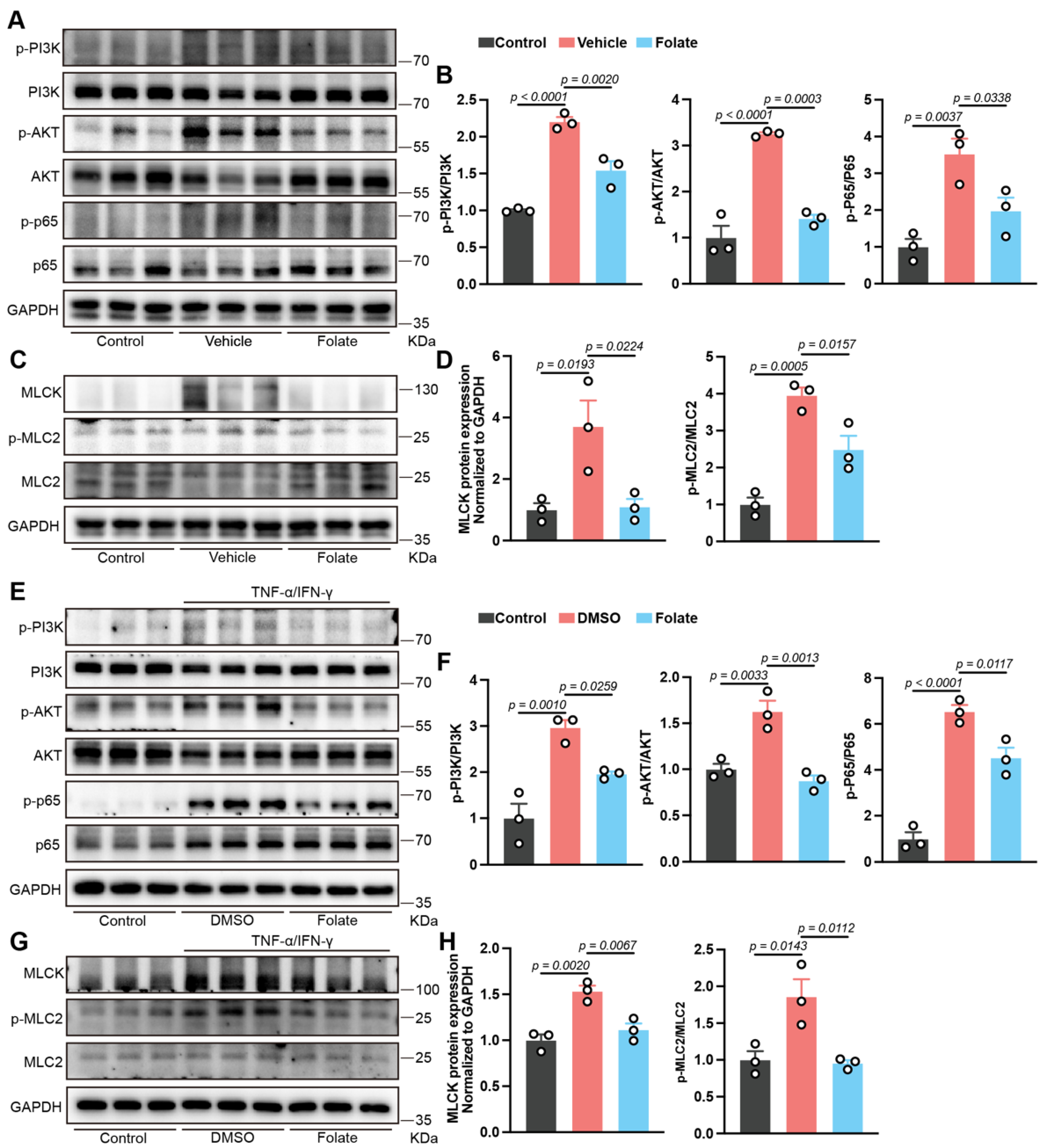 Biology 14 01573 g005