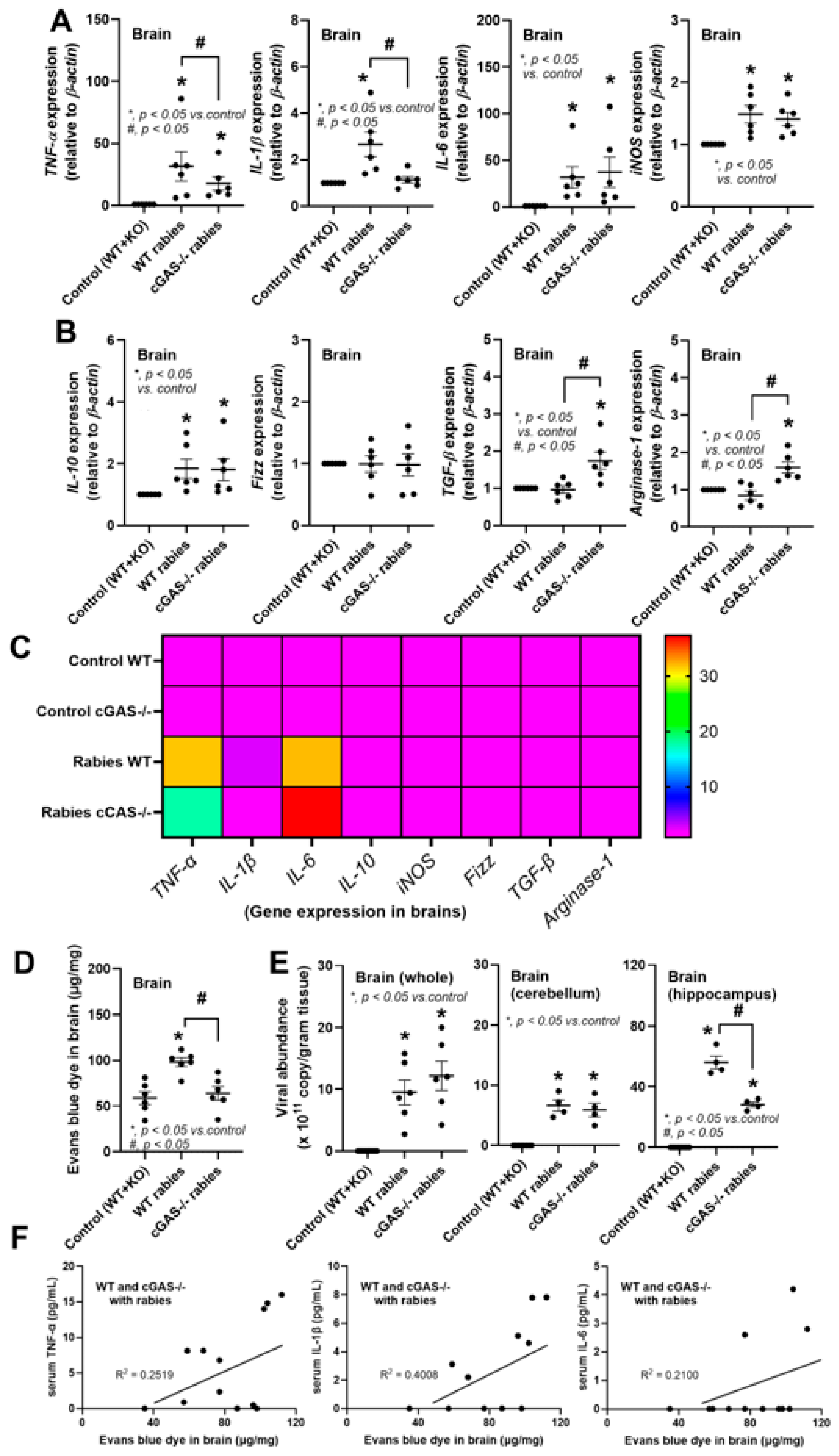 Biology 14 01583 g002