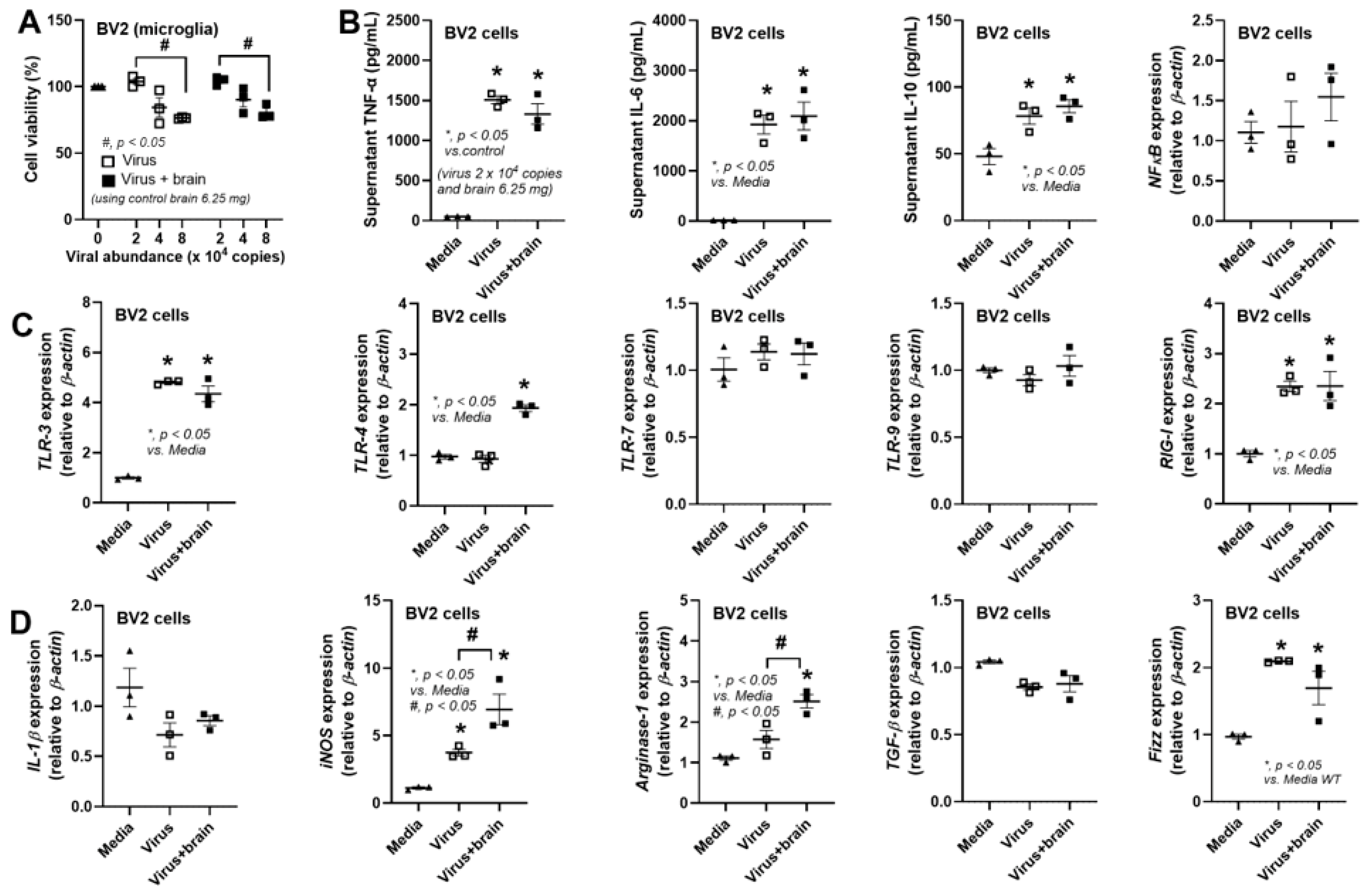 Biology 14 01583 g005