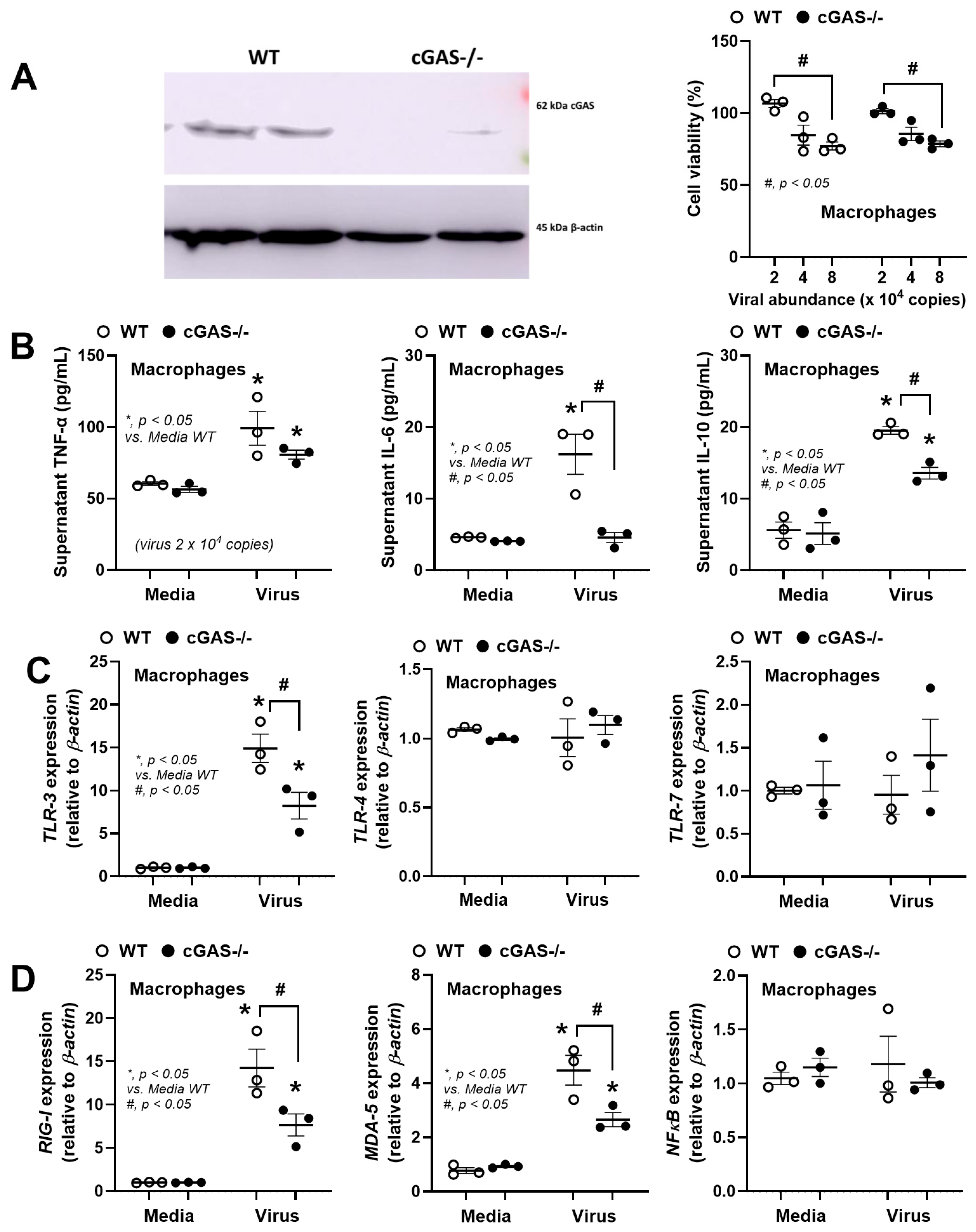 Biology 14 01583 g006