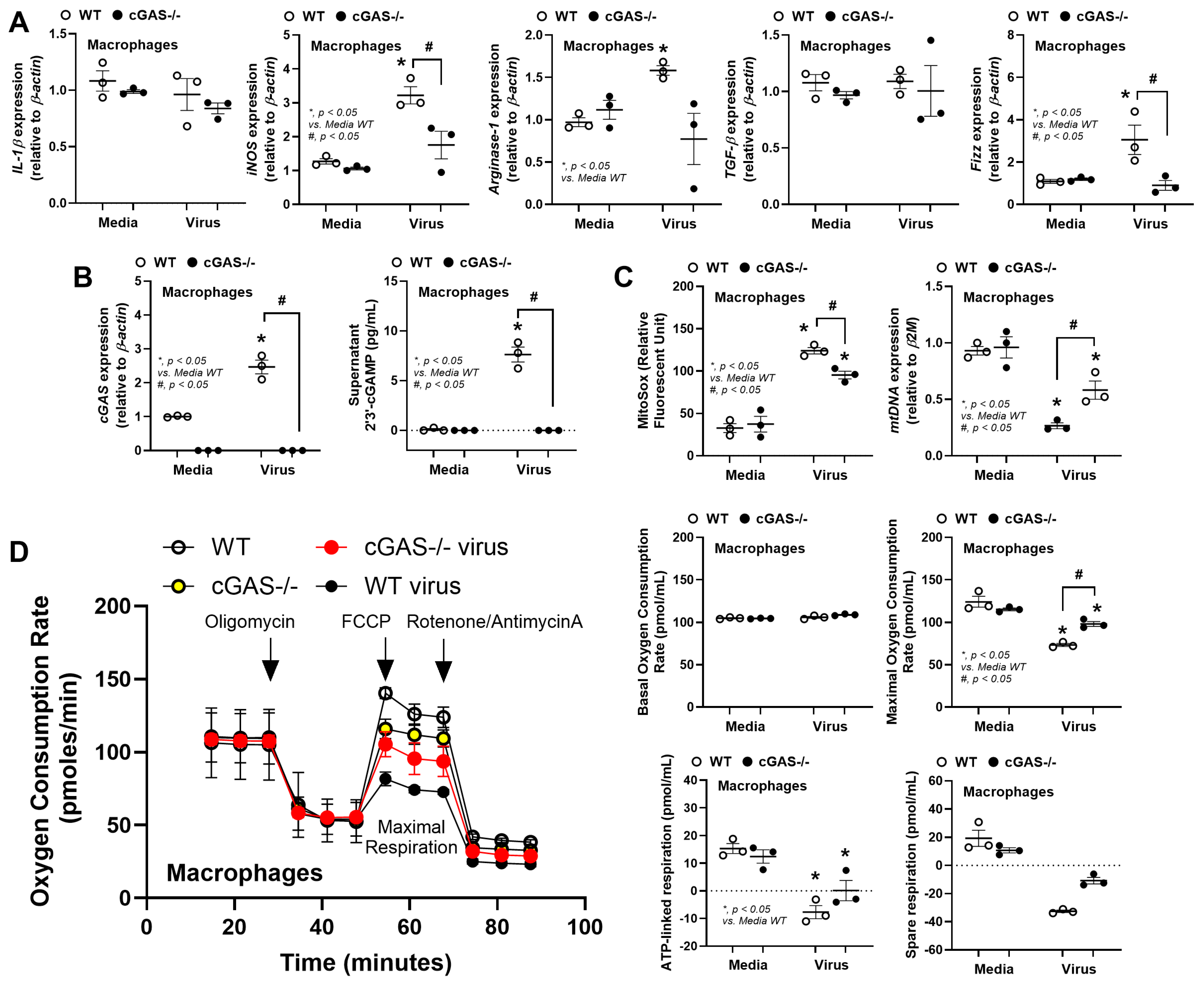 Biology 14 01583 g007