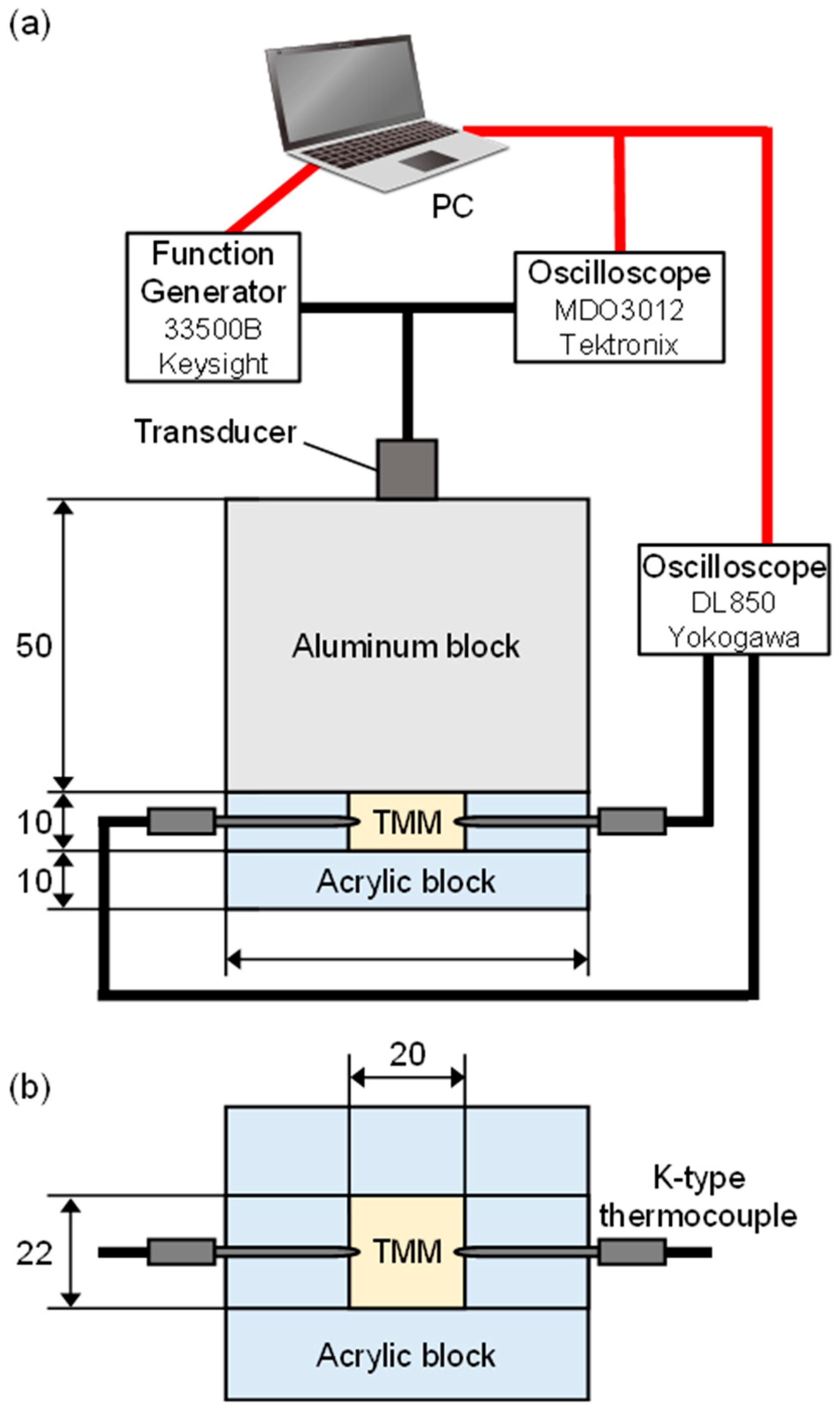 Biology 14 01585 g001