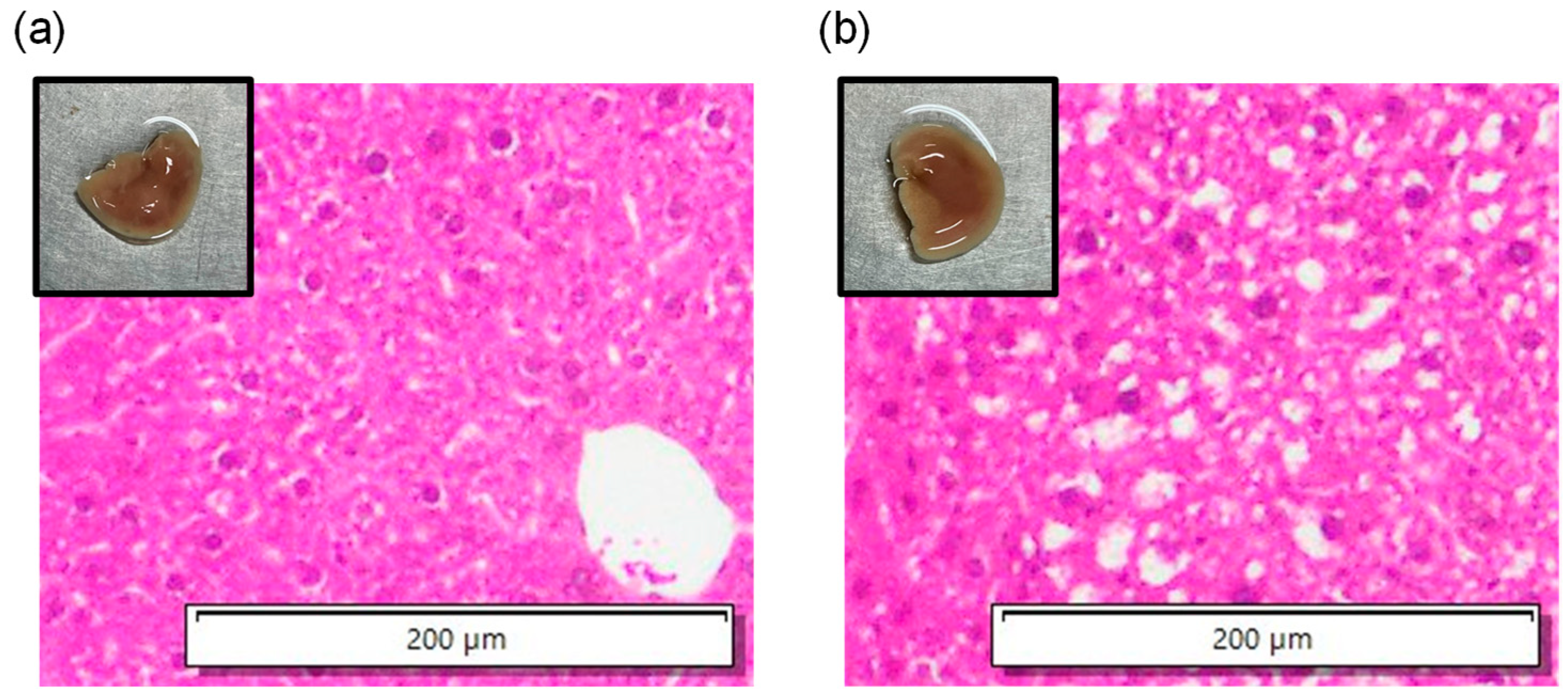 Biology 14 01585 g007