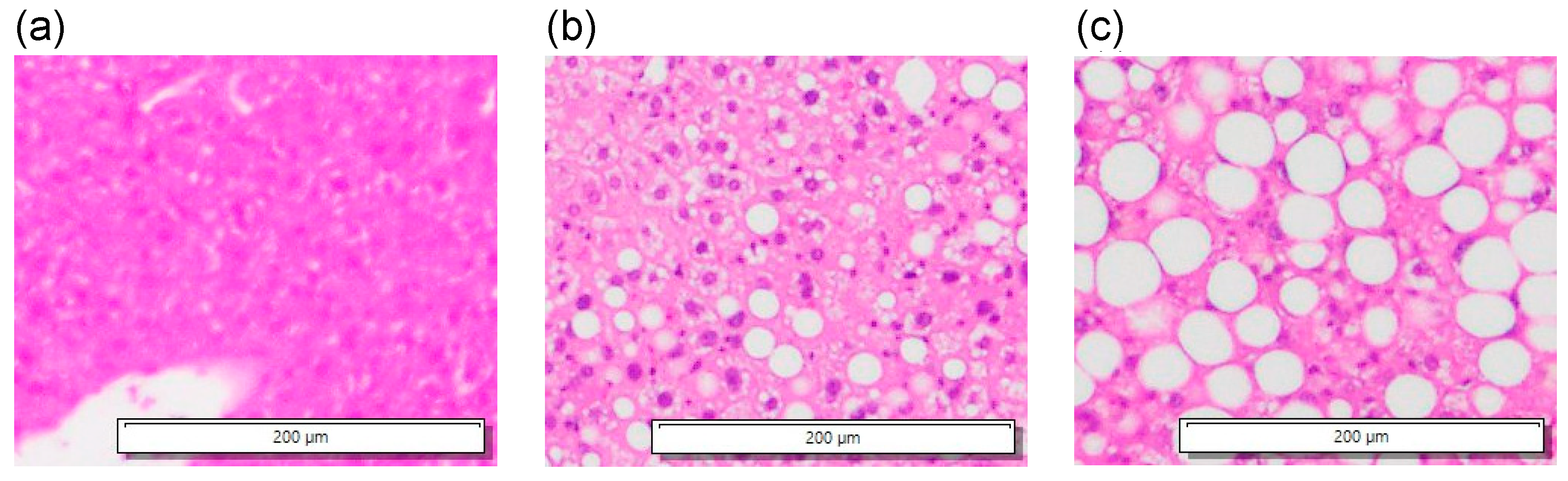Biology 14 01585 g014
