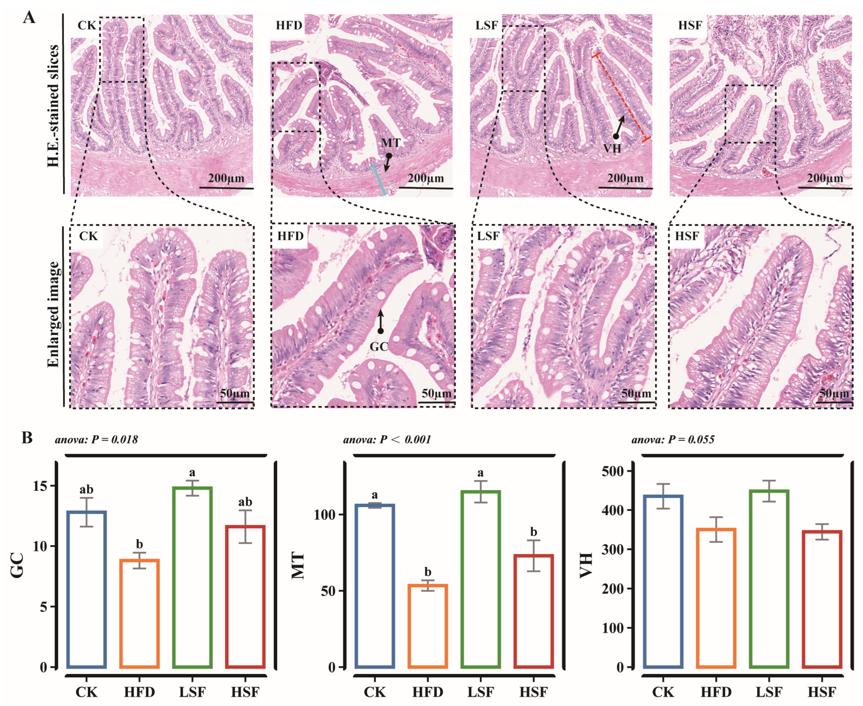 Biology 14 01586 g001 Biology 14 01586 g001