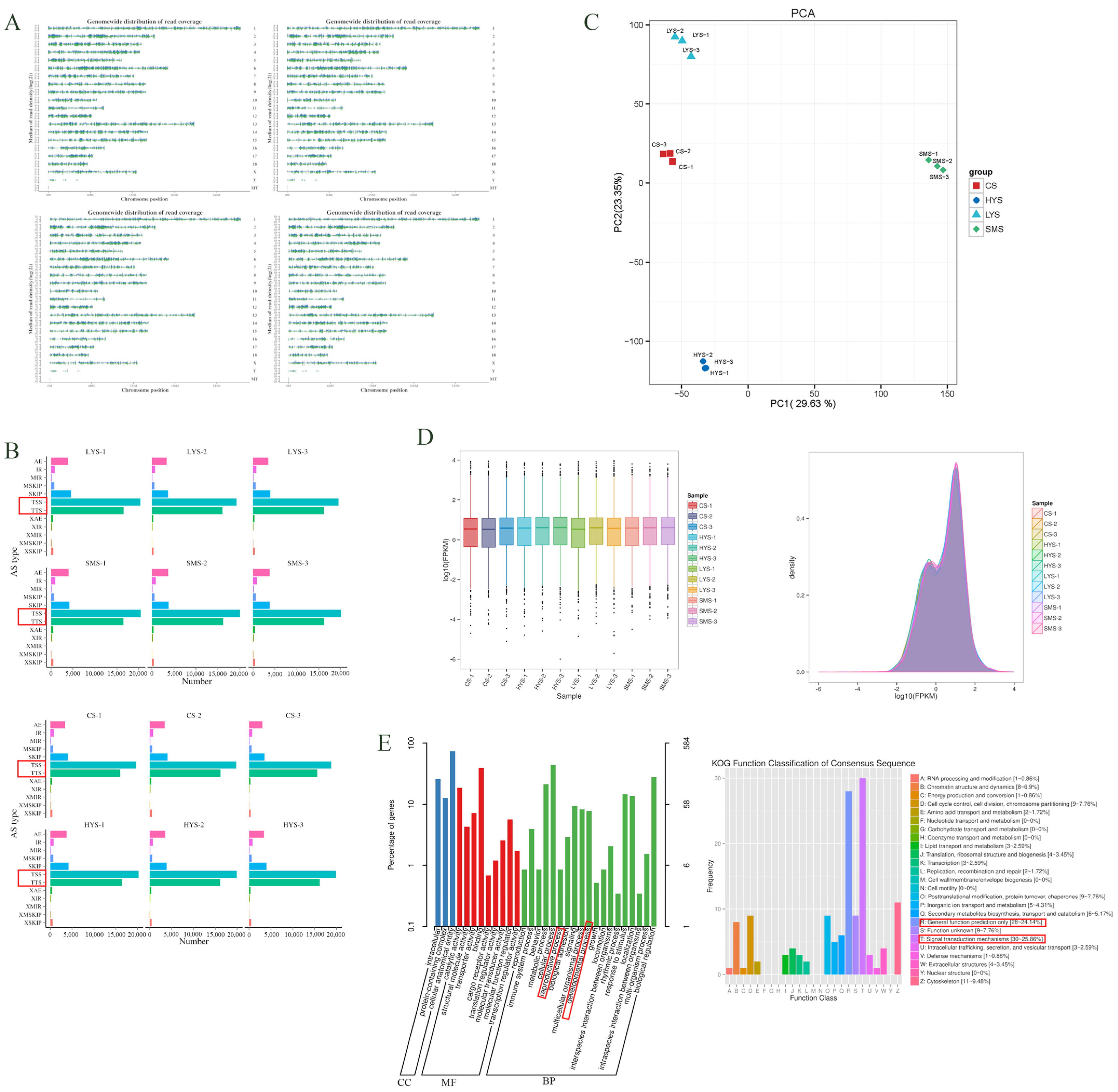 Biology 14 01589 g001 Biology 14 01589 g001