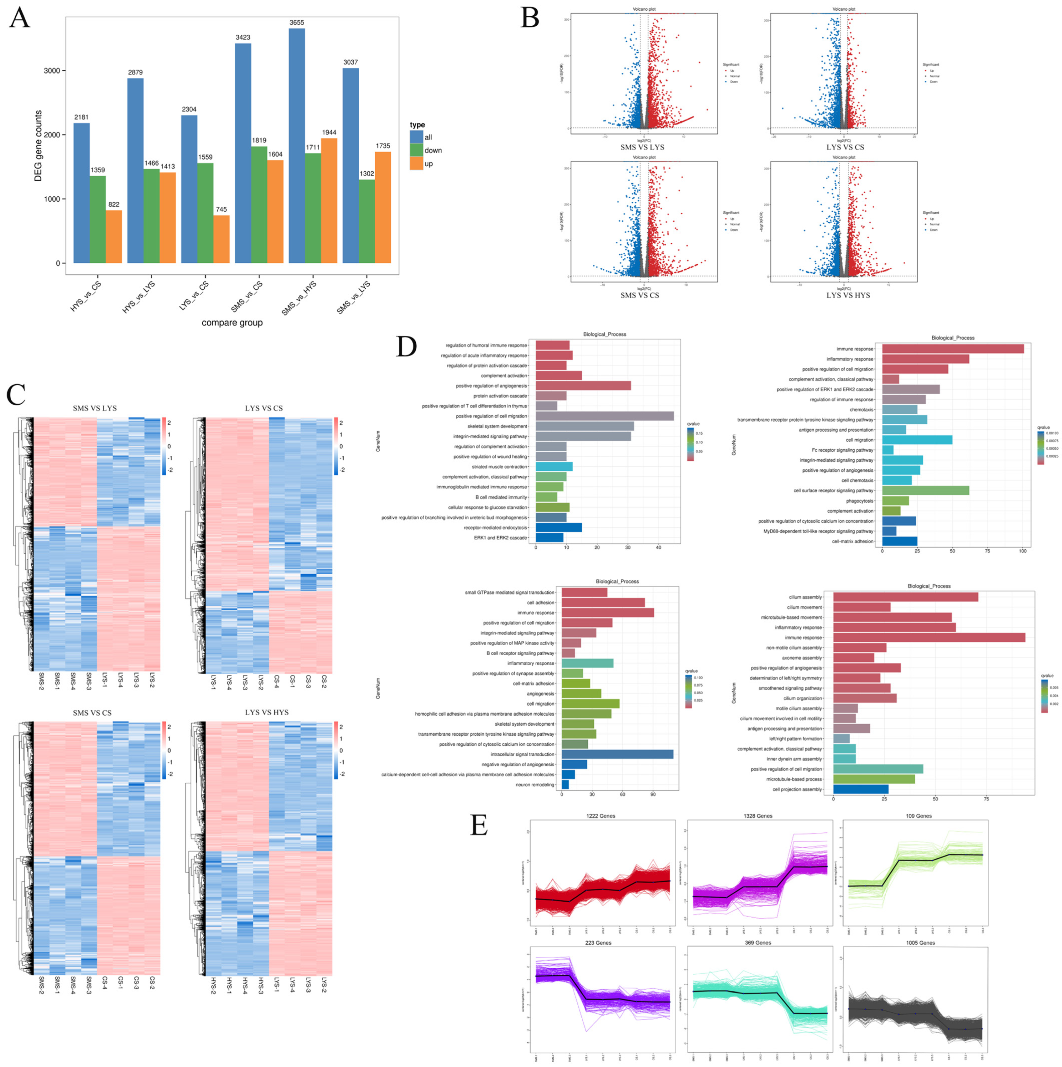 Biology 14 01589 g002 Biology 14 01589 g002