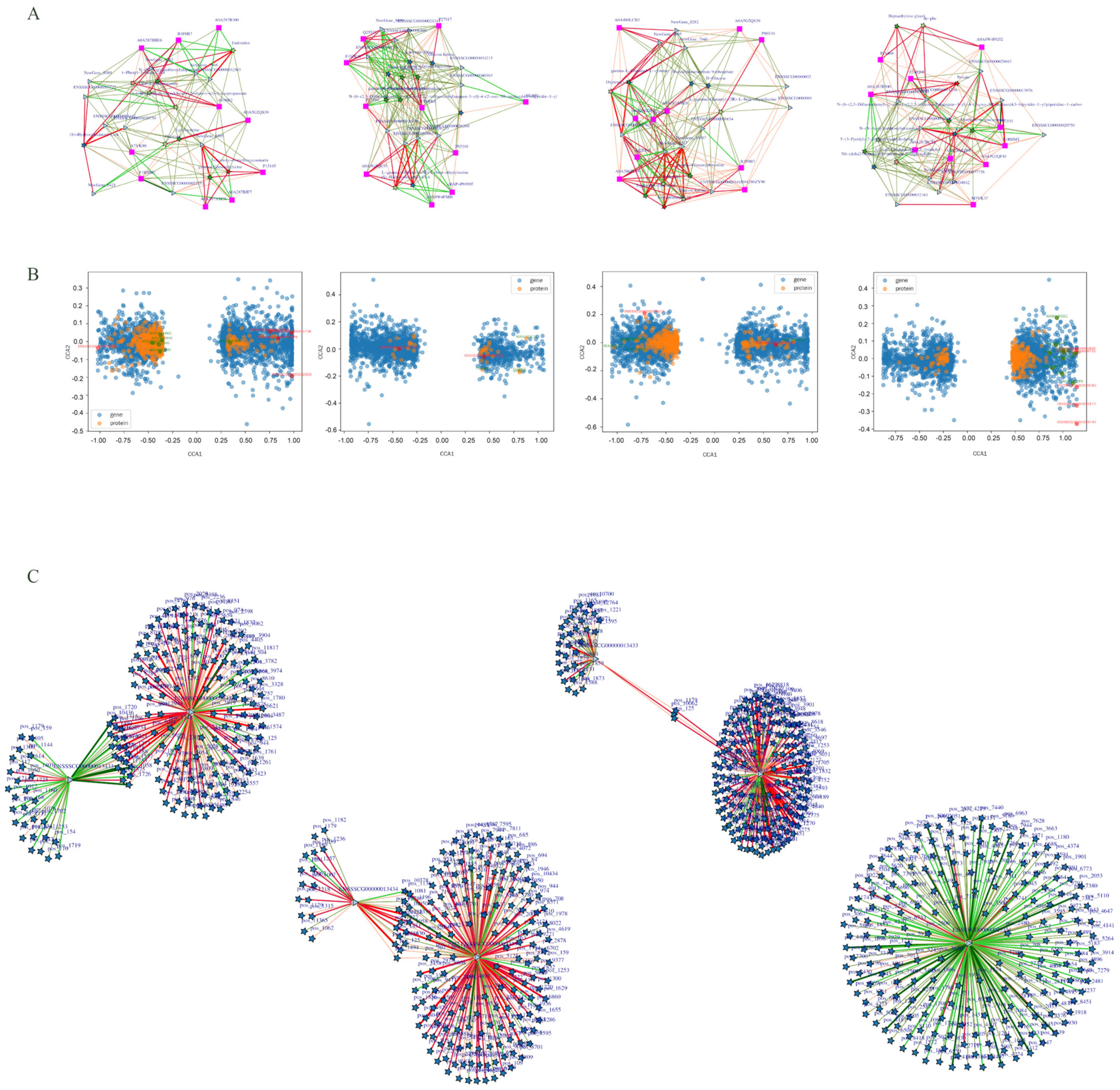 Biology 14 01589 g005 Biology 14 01589 g005