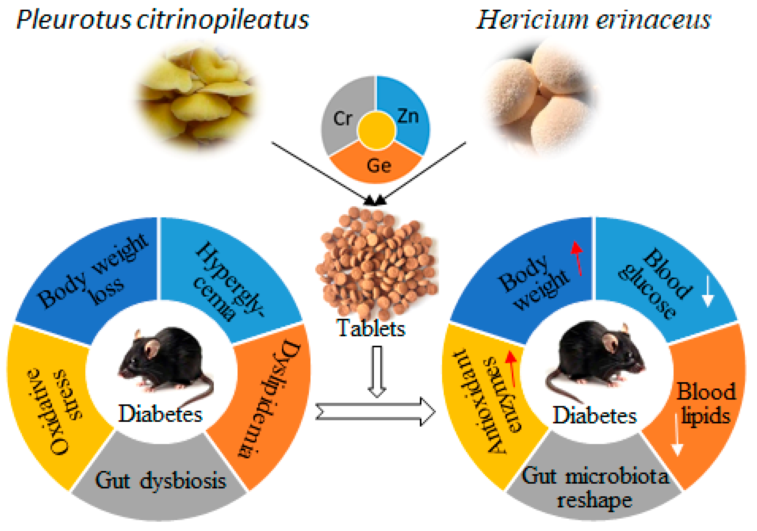 Biology 14 01591 g006 Biology 14 01591 g006