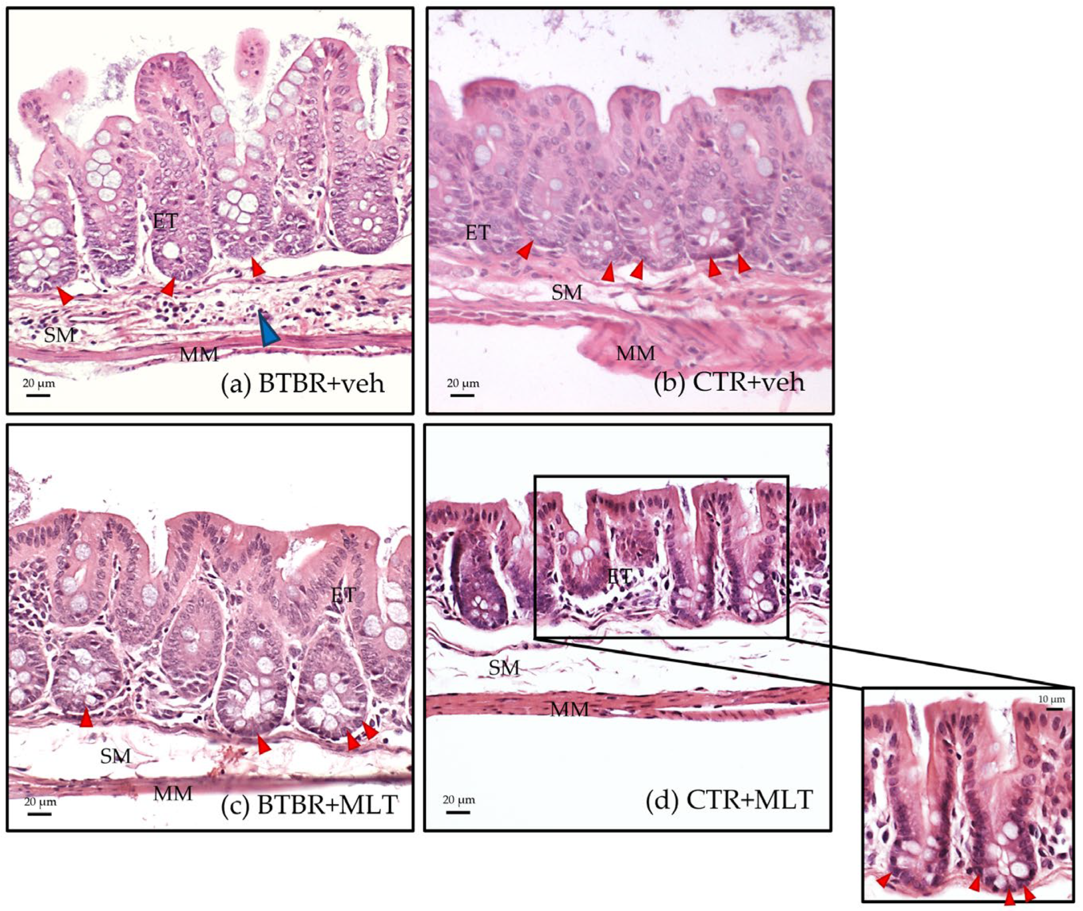 Biology 14 01594 g003 Biology 14 01594 g003