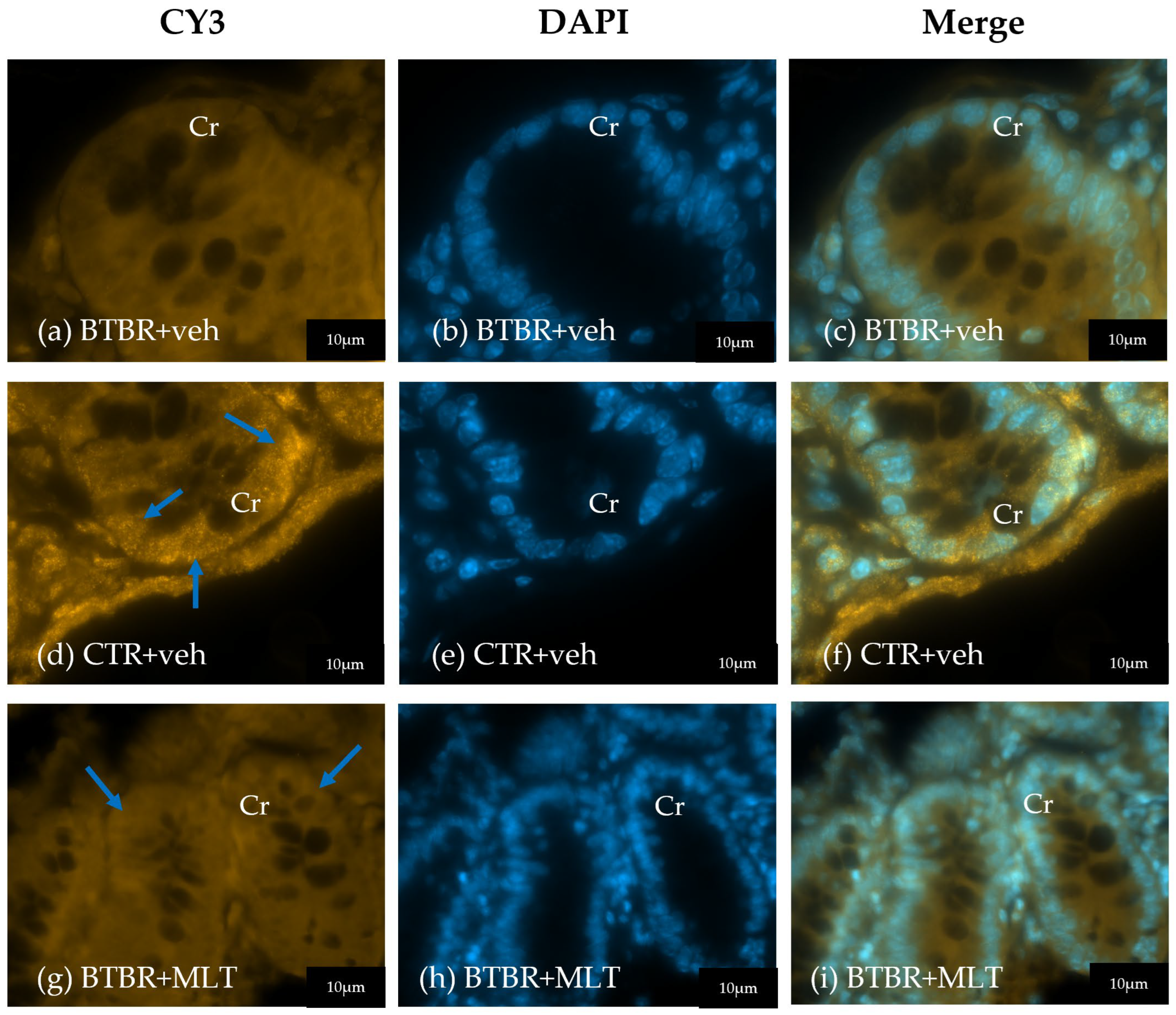 Biology 14 01594 g005 Biology 14 01594 g005