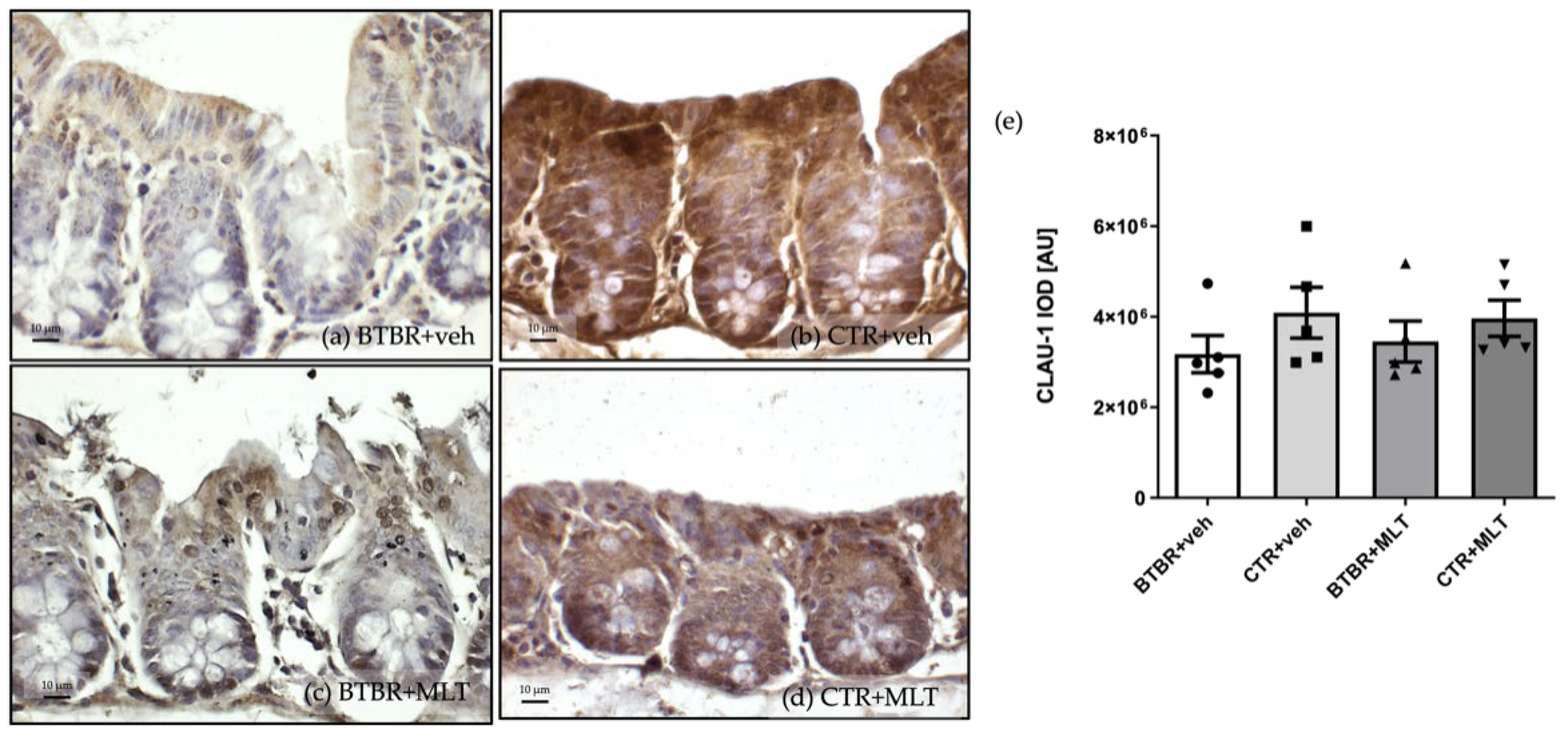 Biology 14 01594 g006 Biology 14 01594 g006