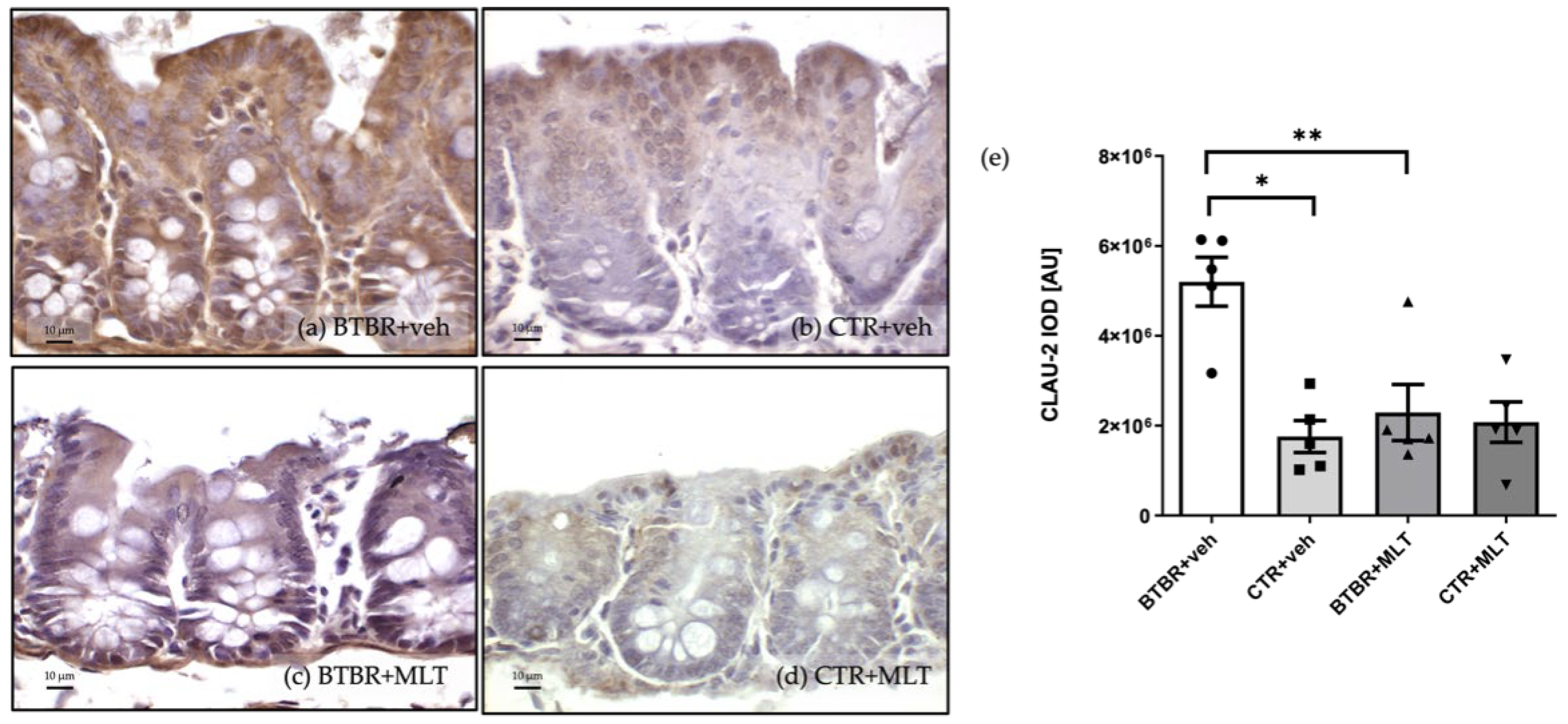 Biology 14 01594 g007 Biology 14 01594 g007