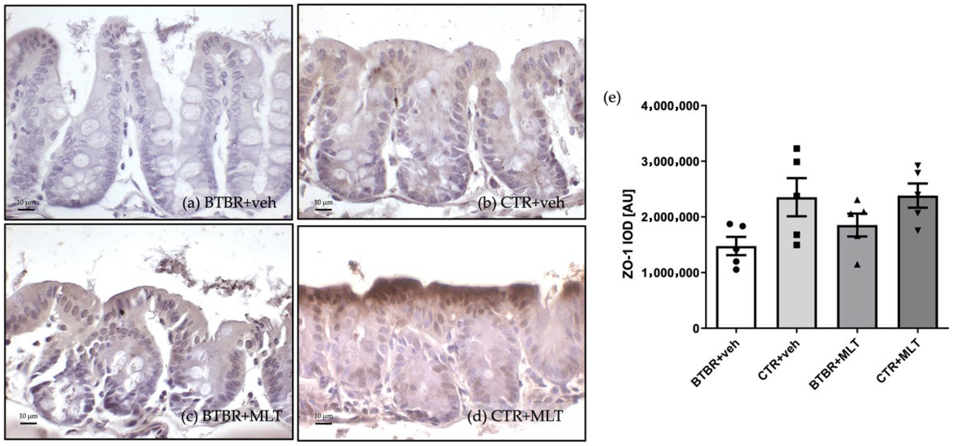Biology 14 01594 g008 Biology 14 01594 g008
