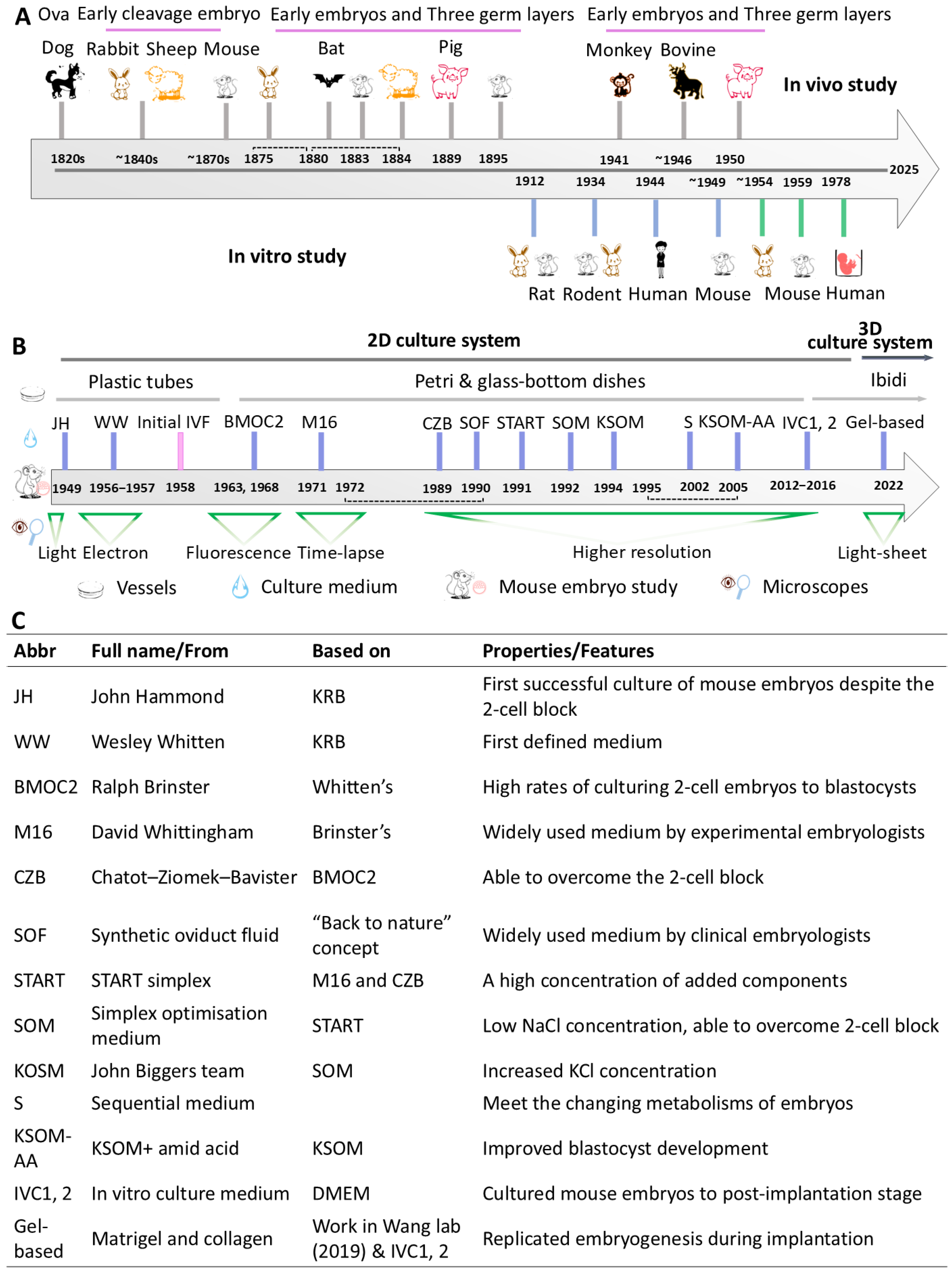 Biology 14 01596 g001