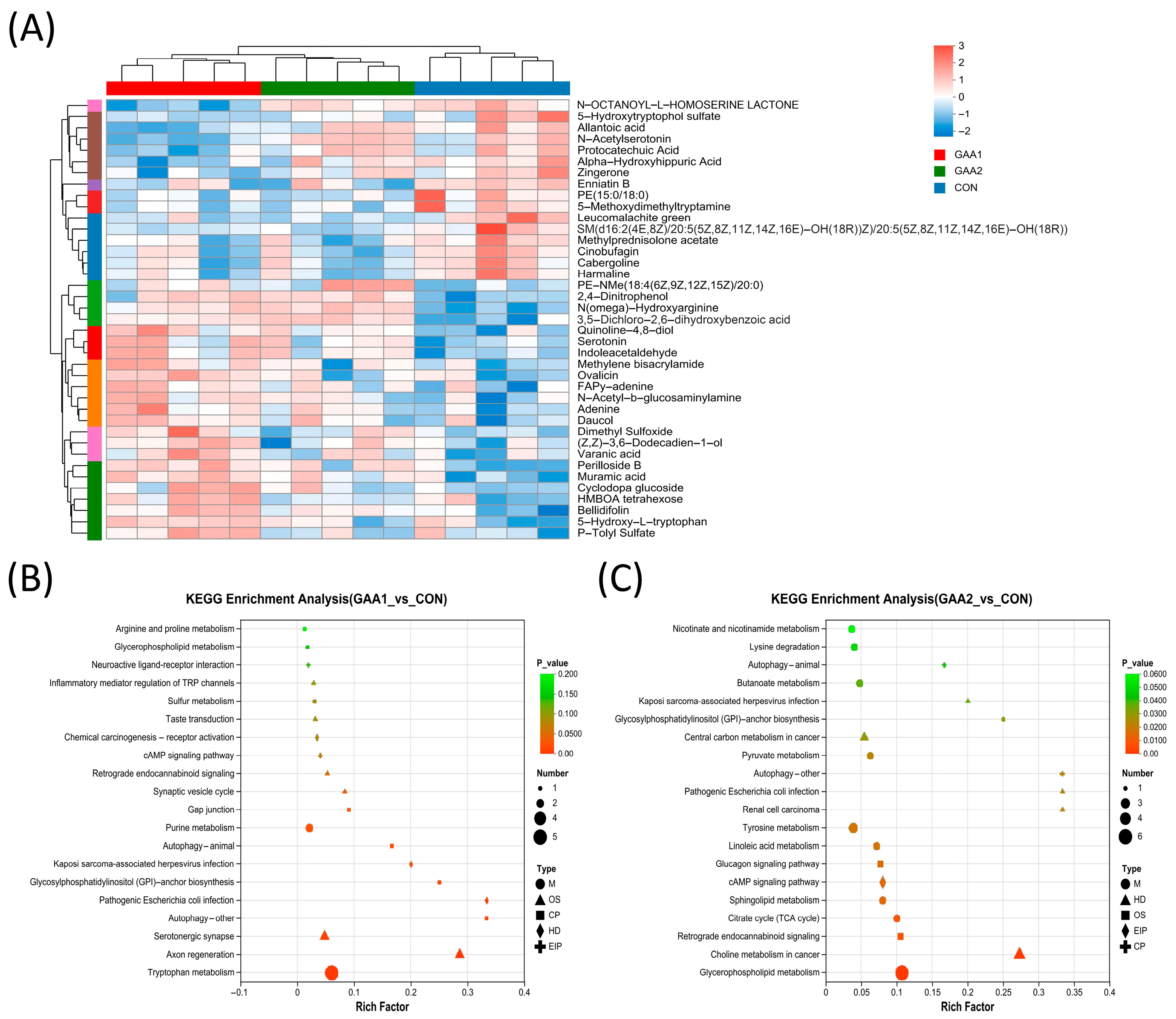 Biology 14 01600 g002 Biology 14 01600 g002