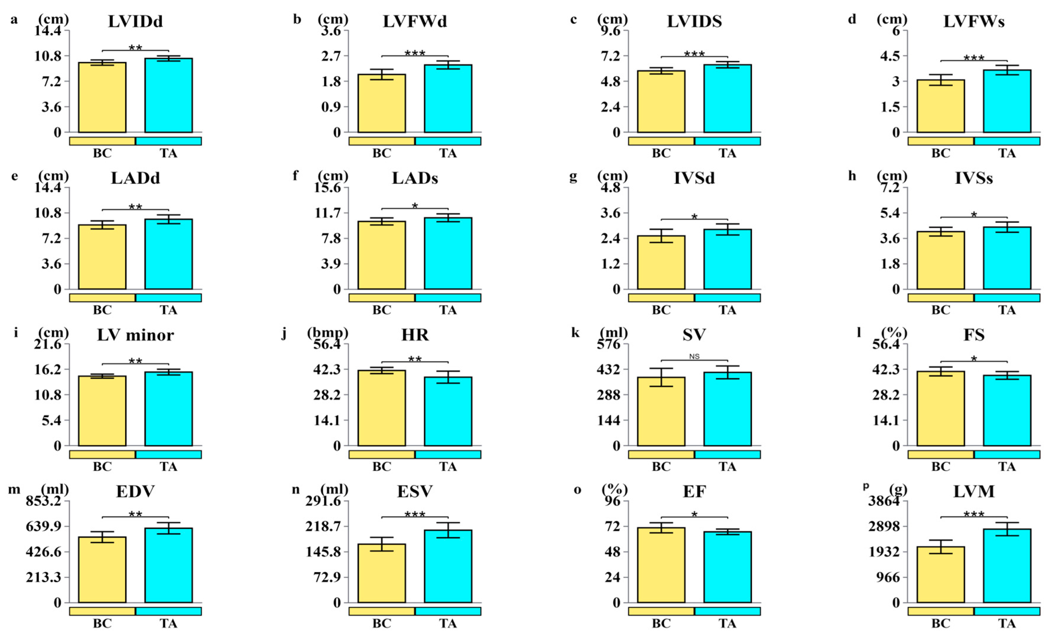 Biology 14 01609 g001