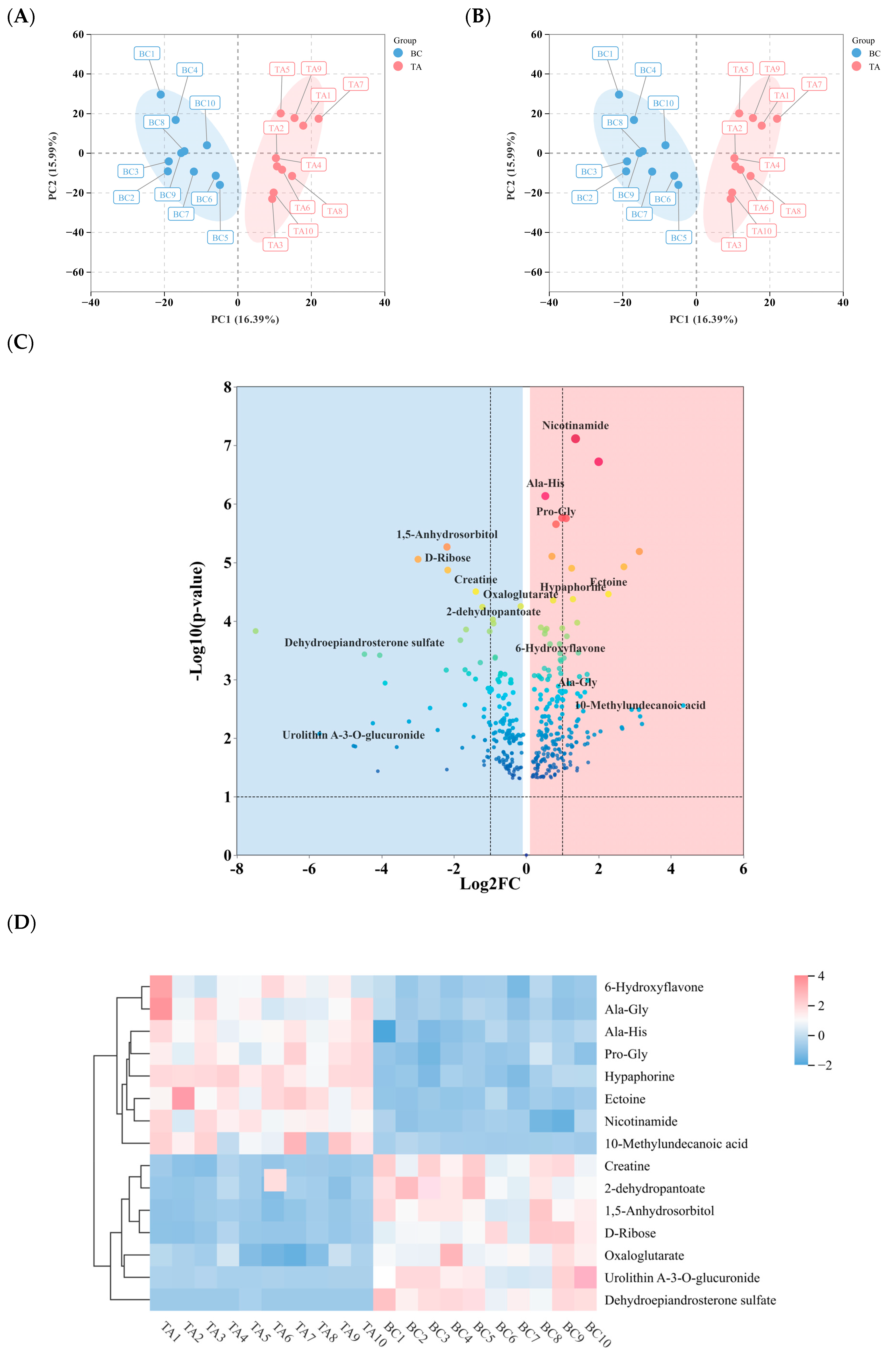 Biology 14 01609 g002a