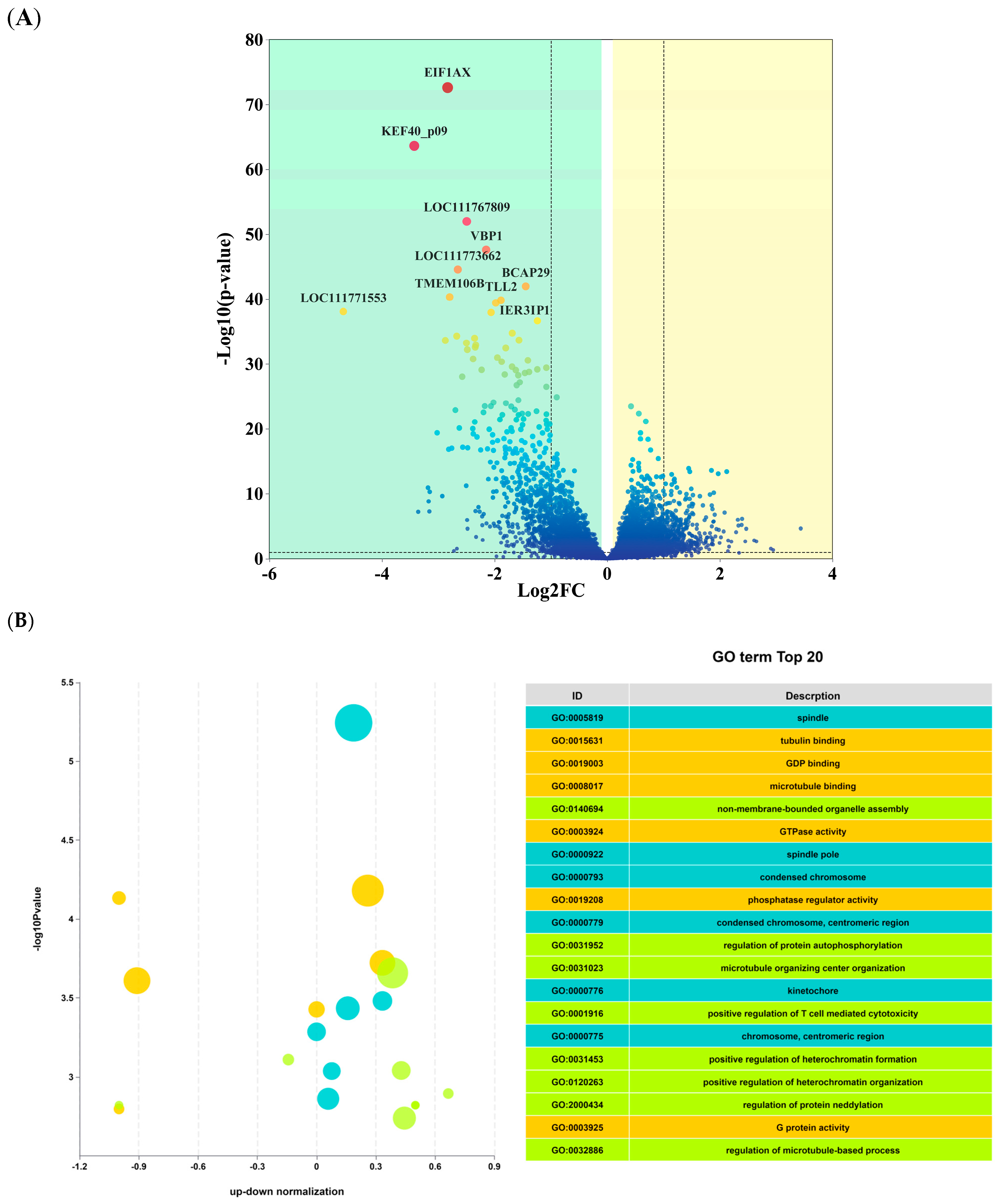 Biology 14 01609 g003a