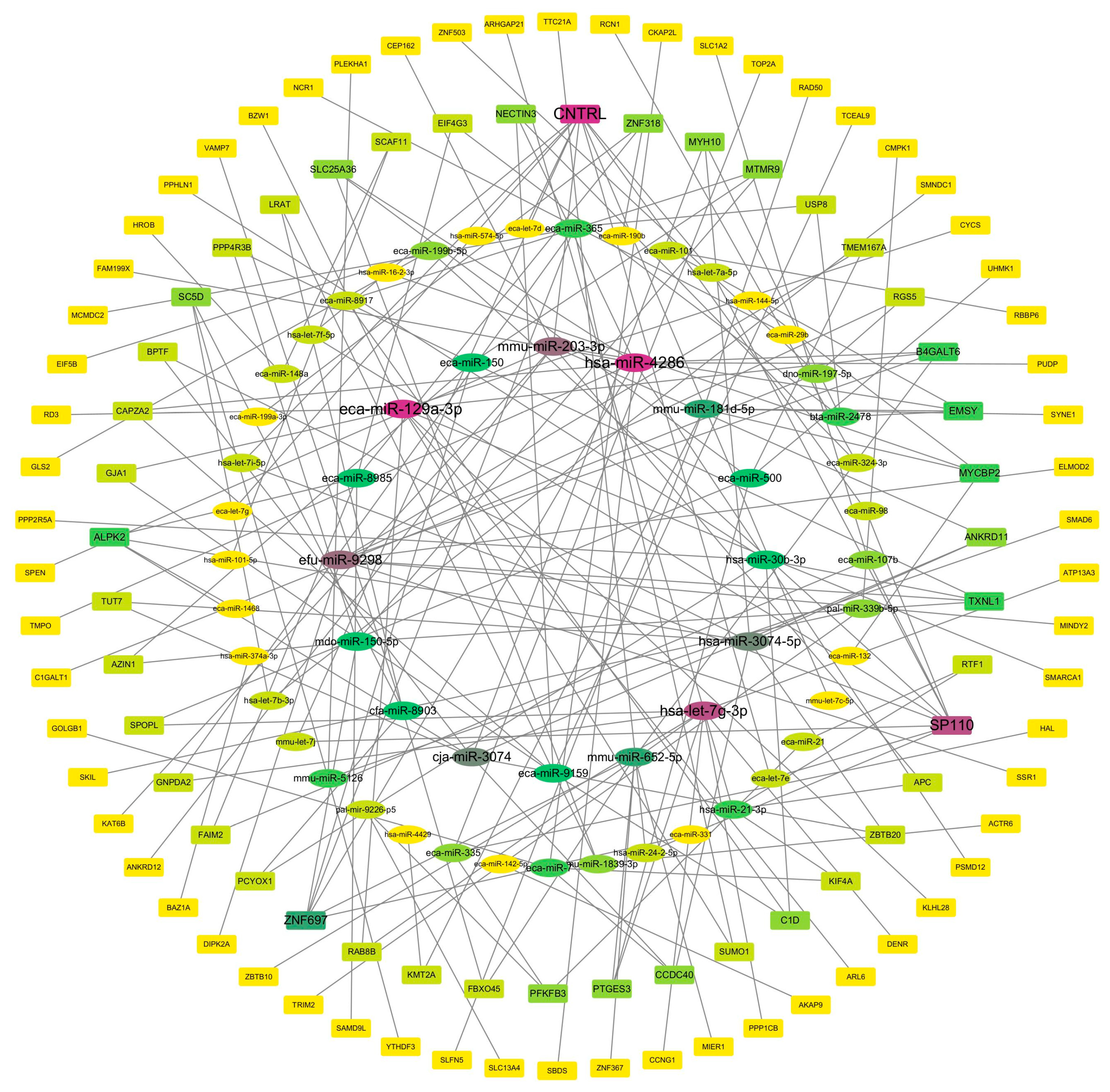 Biology 14 01609 g005
