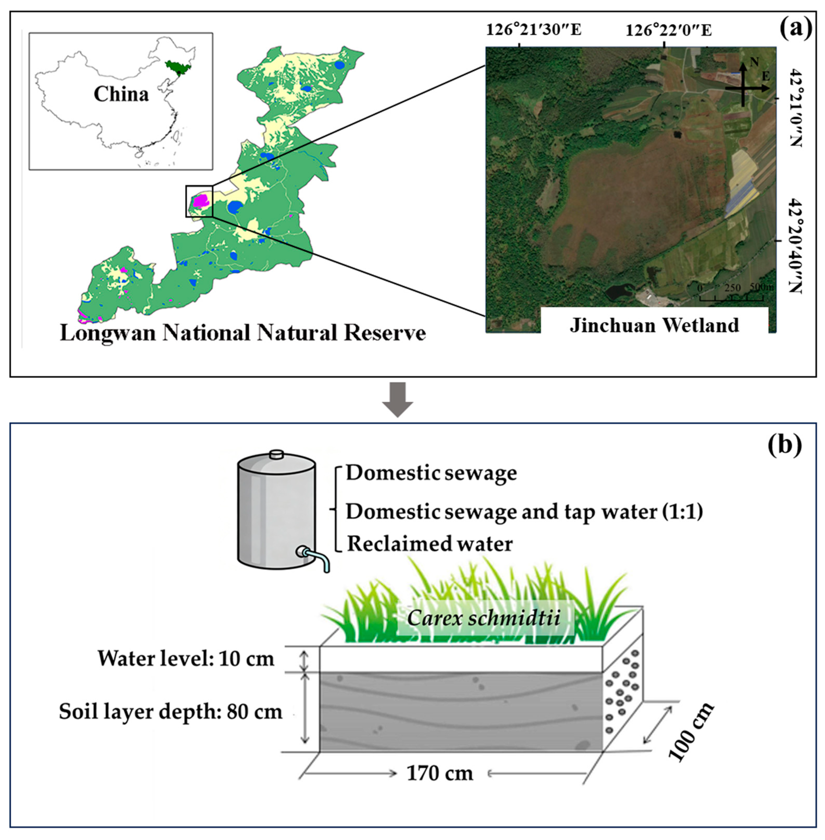 Biology 14 01611 g001