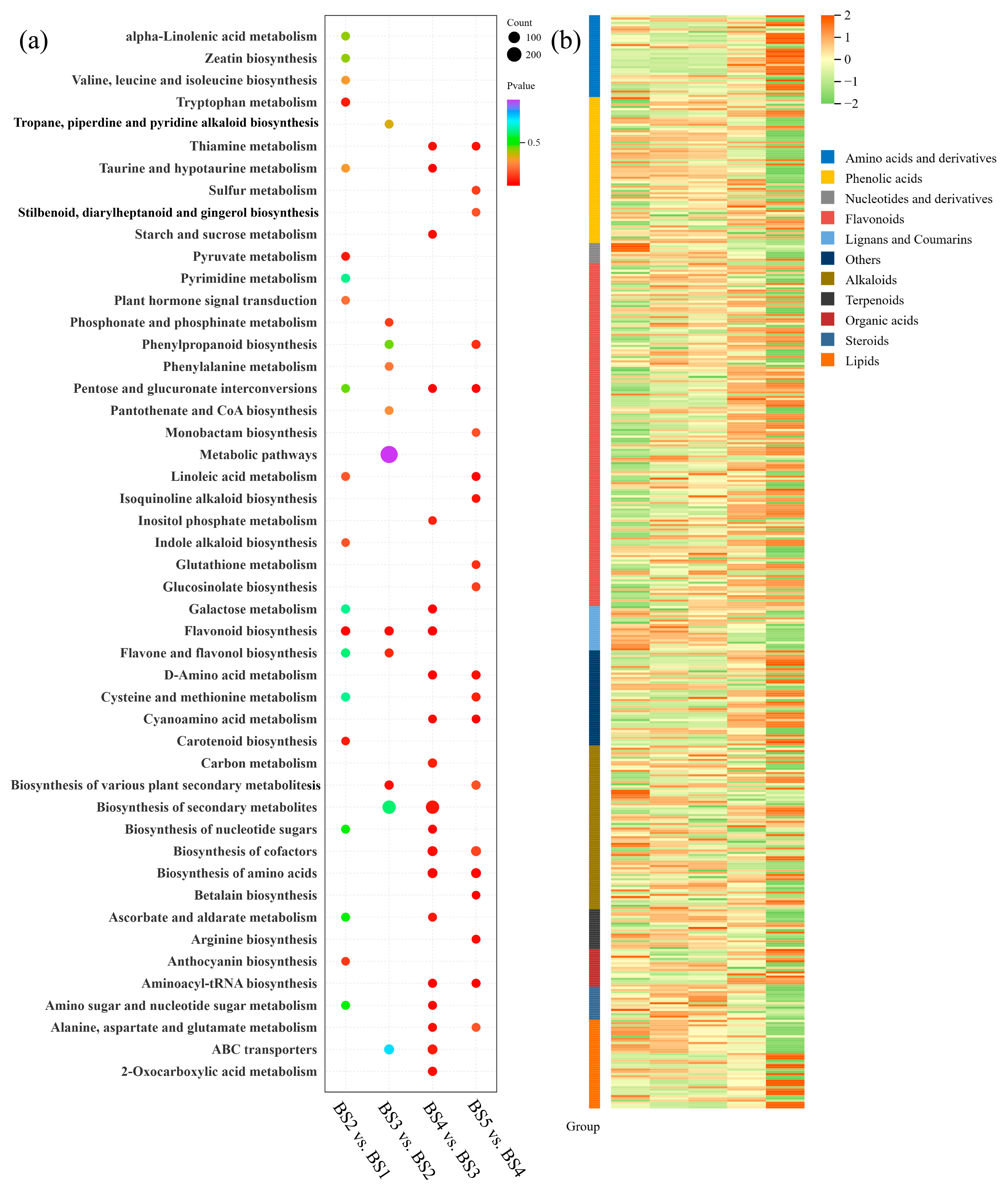 Biology 14 01614 g002a Biology 14 01614 g002a