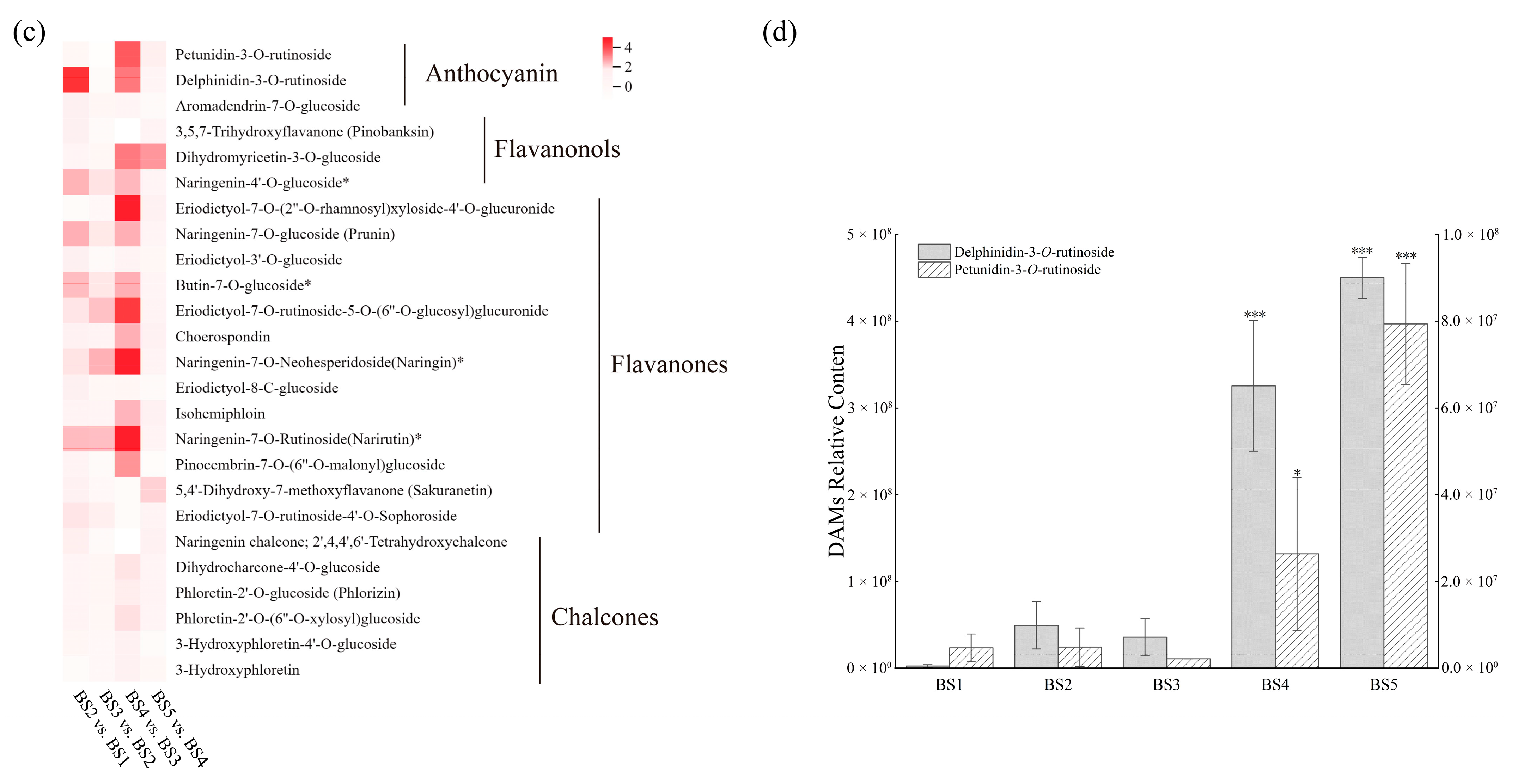 Biology 14 01614 g002b Biology 14 01614 g002b
