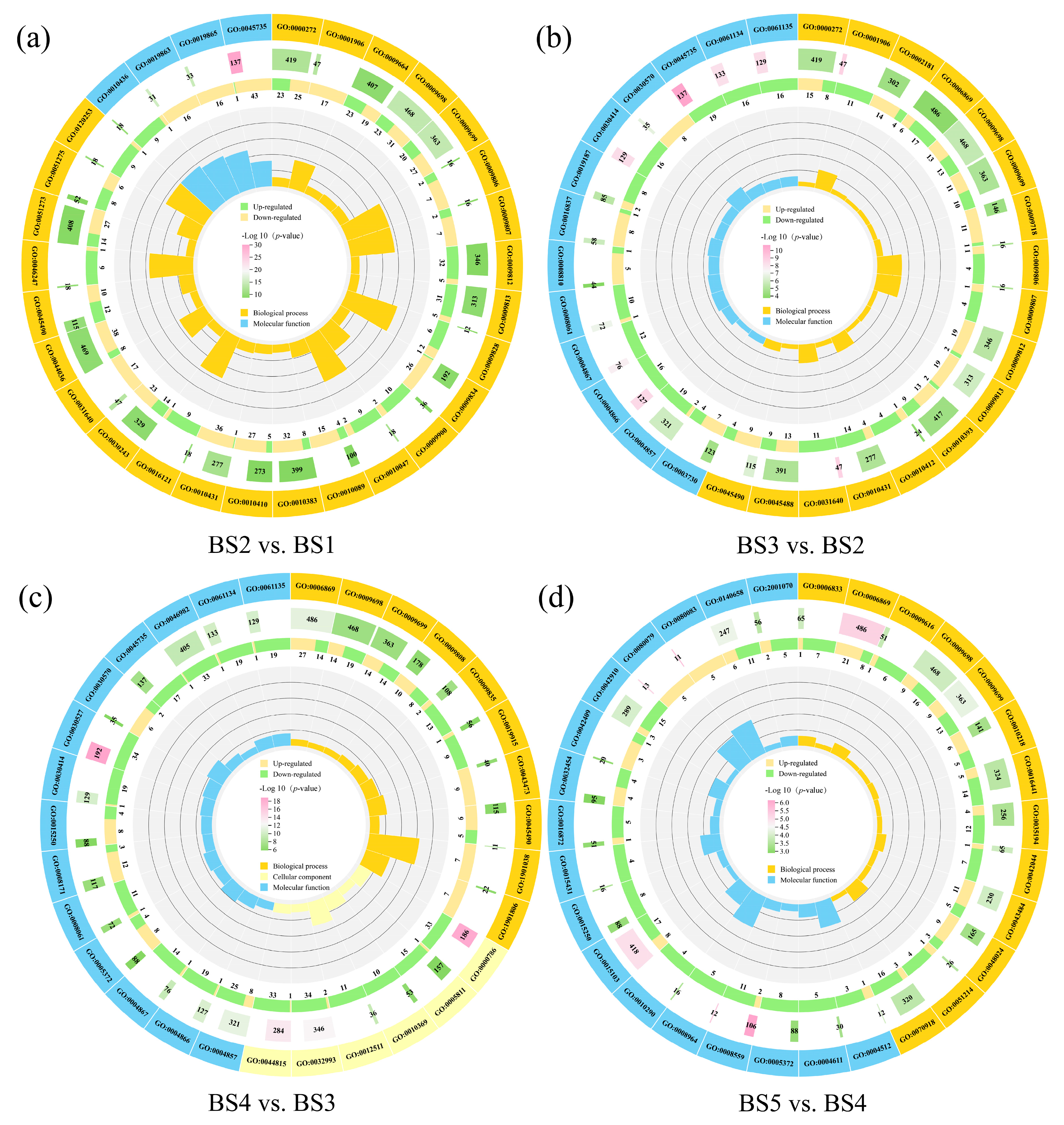 Biology 14 01614 g004 Biology 14 01614 g004