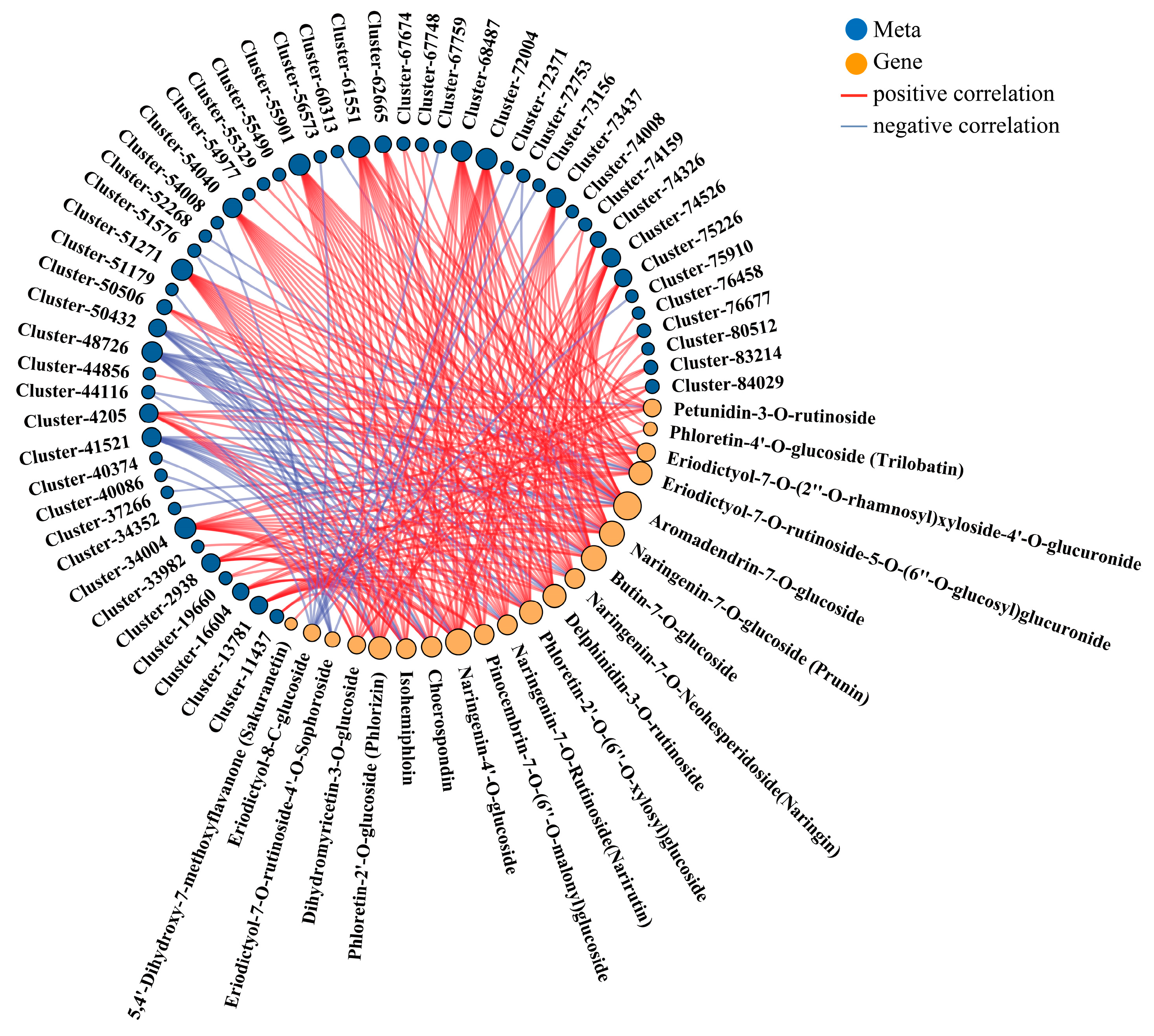 Biology 14 01614 g006 Biology 14 01614 g006