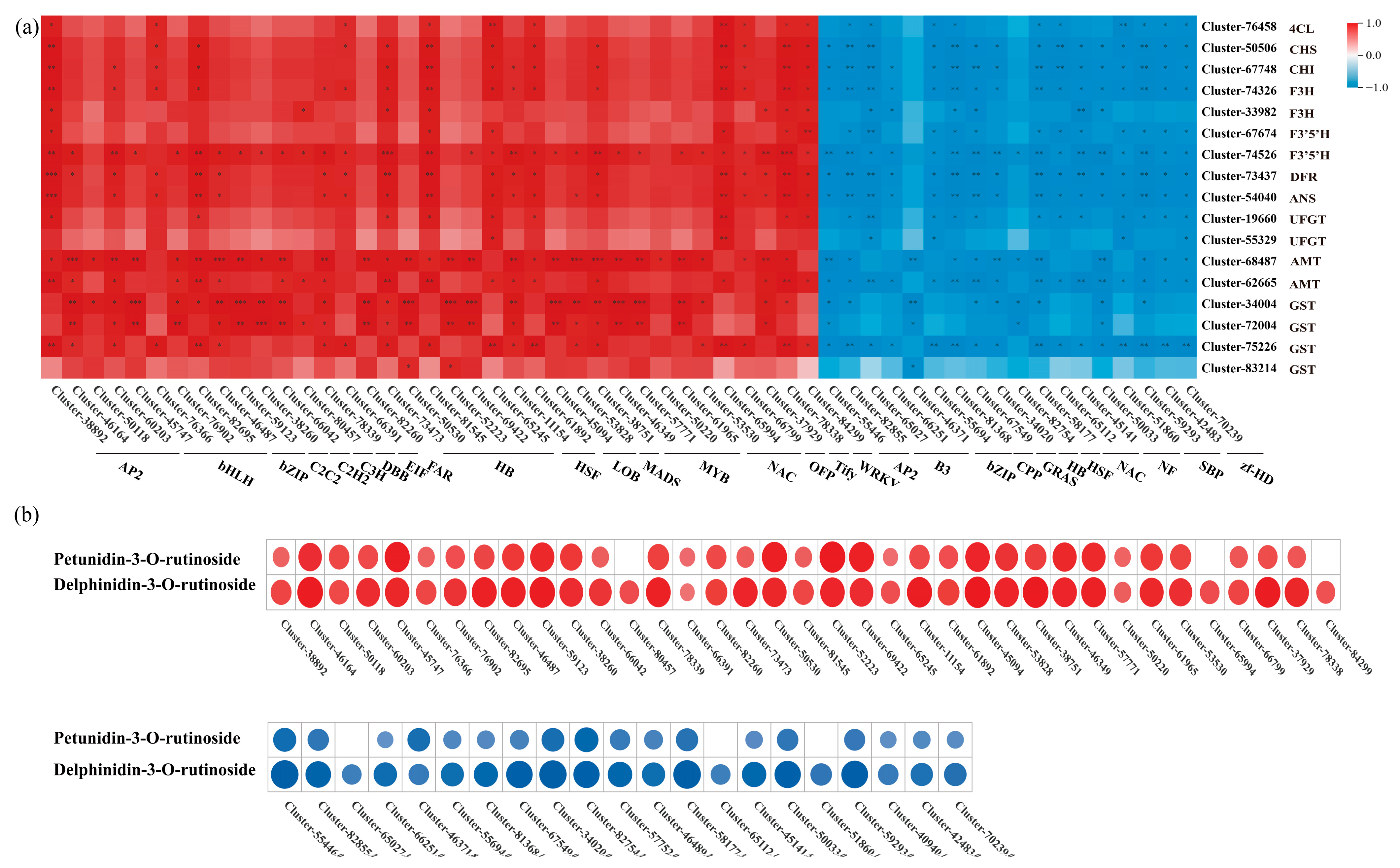 Biology 14 01614 g008 Biology 14 01614 g008