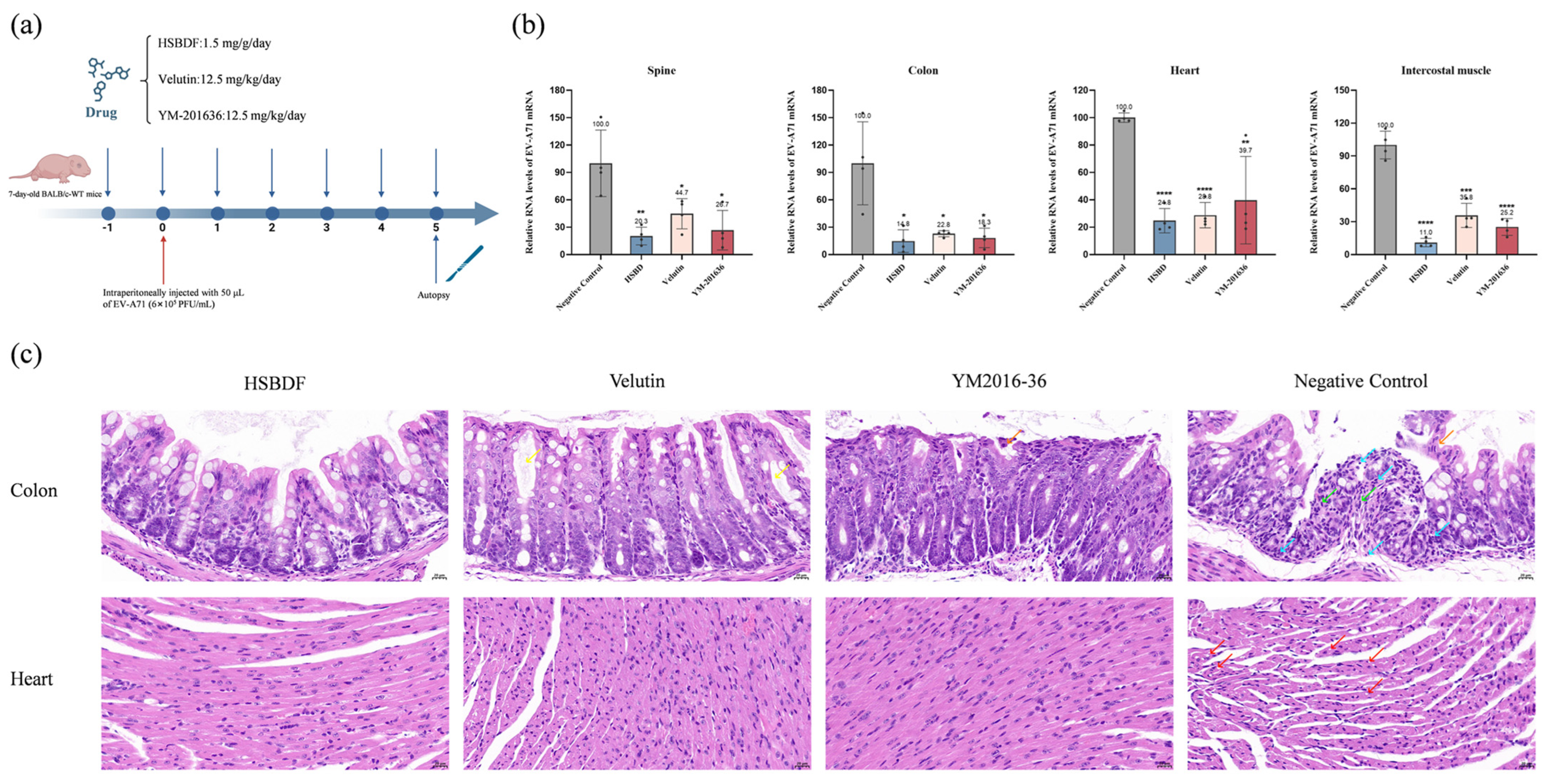 Biology 14 01615 g006