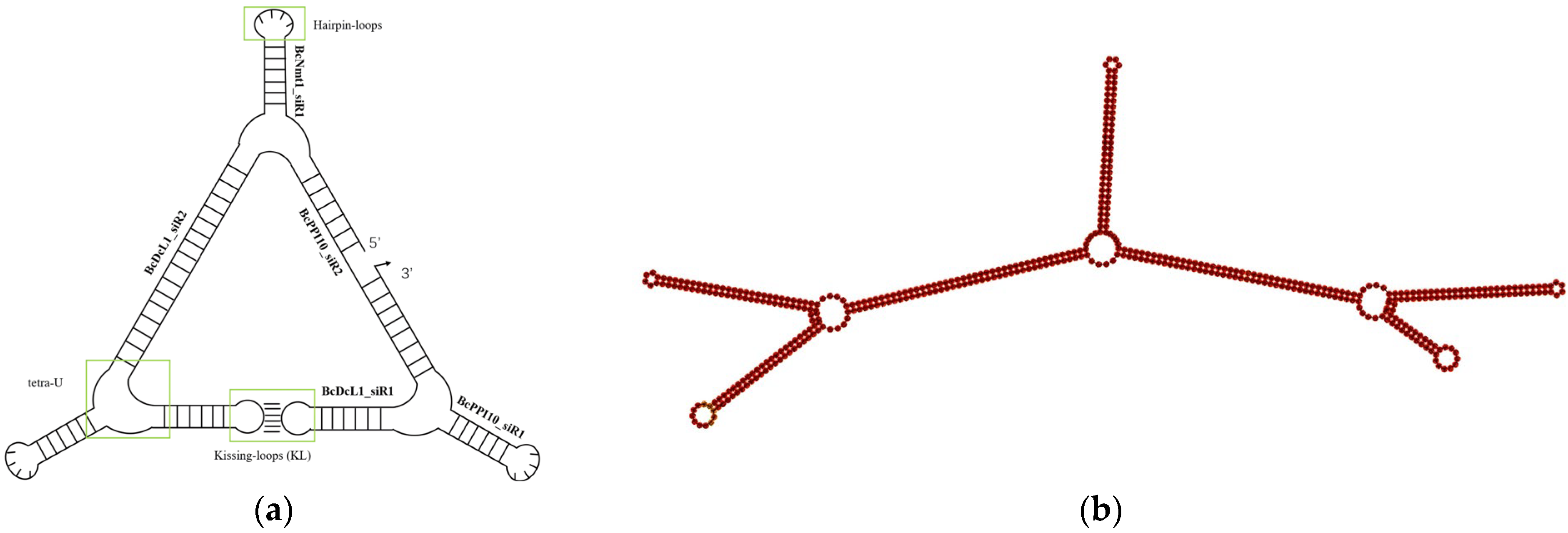 Biology 14 01616 g001