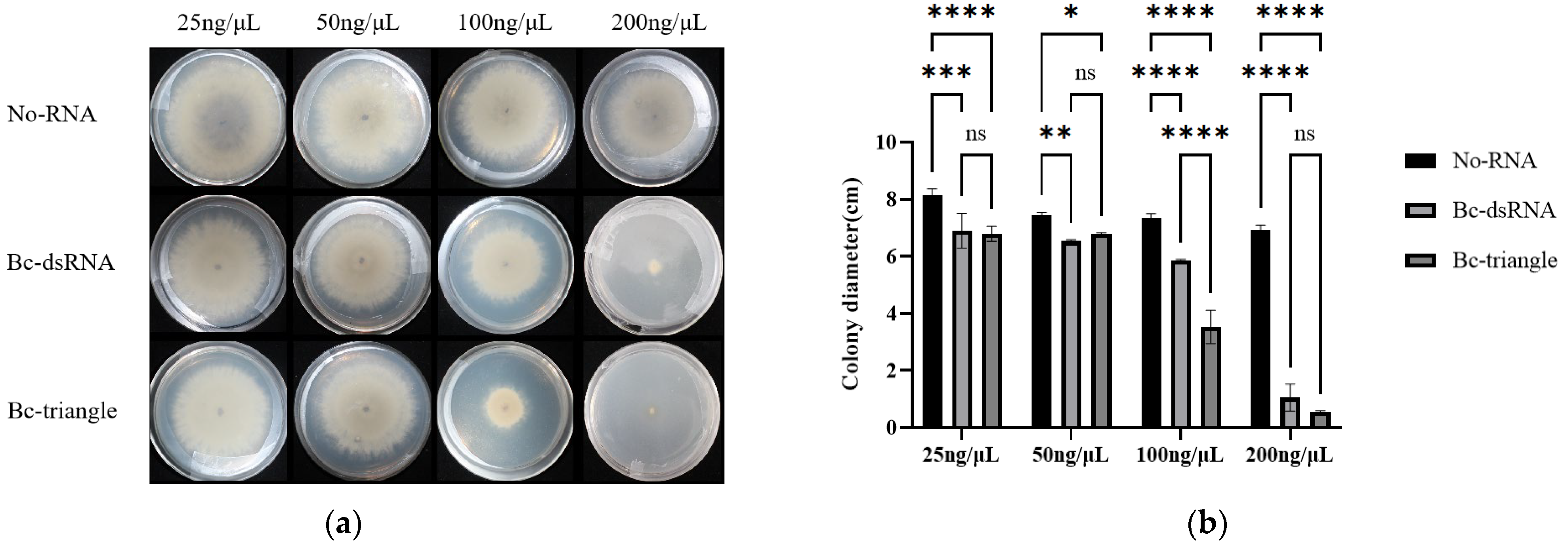 Biology 14 01616 g004