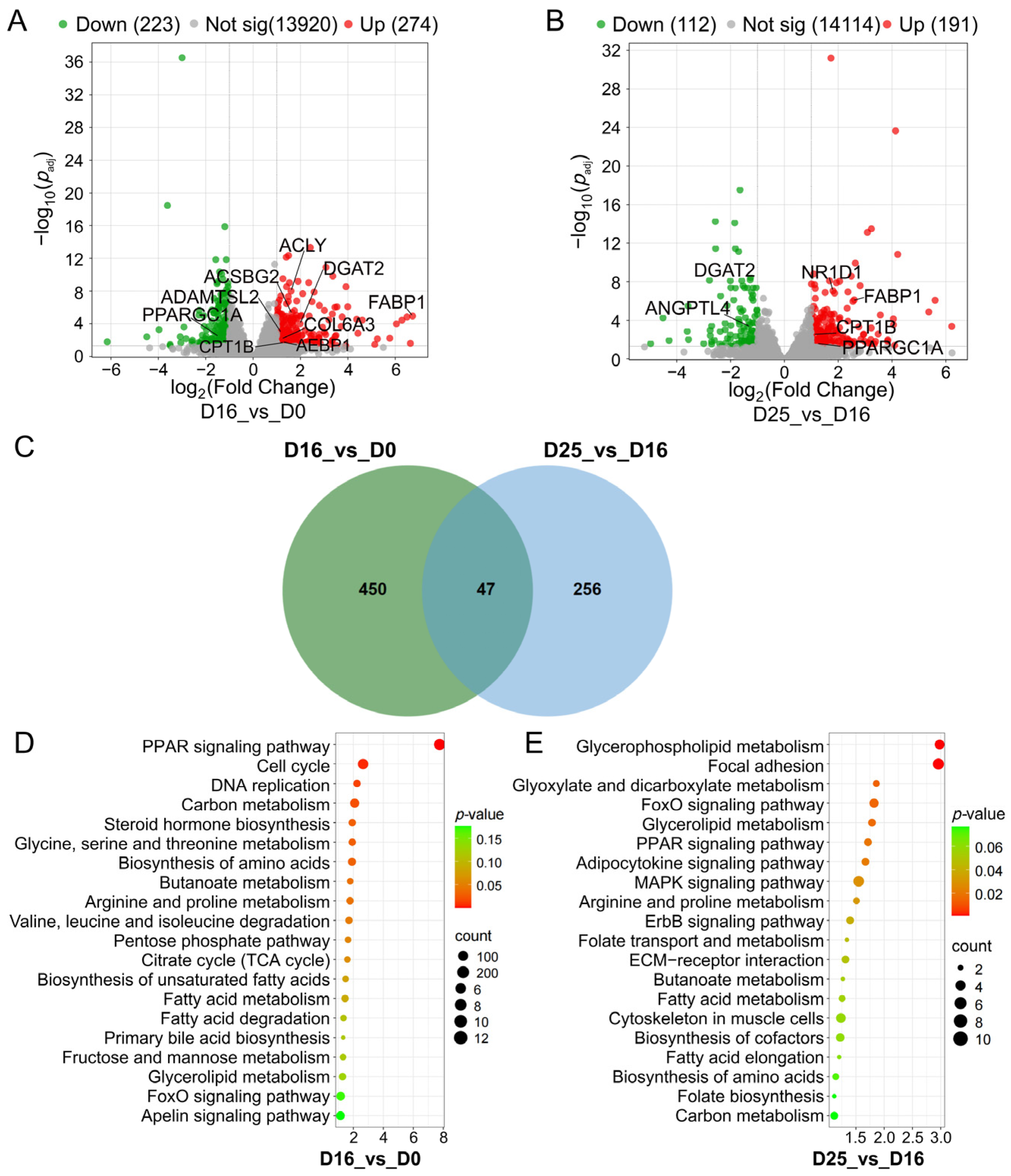Biology 14 01617 g003