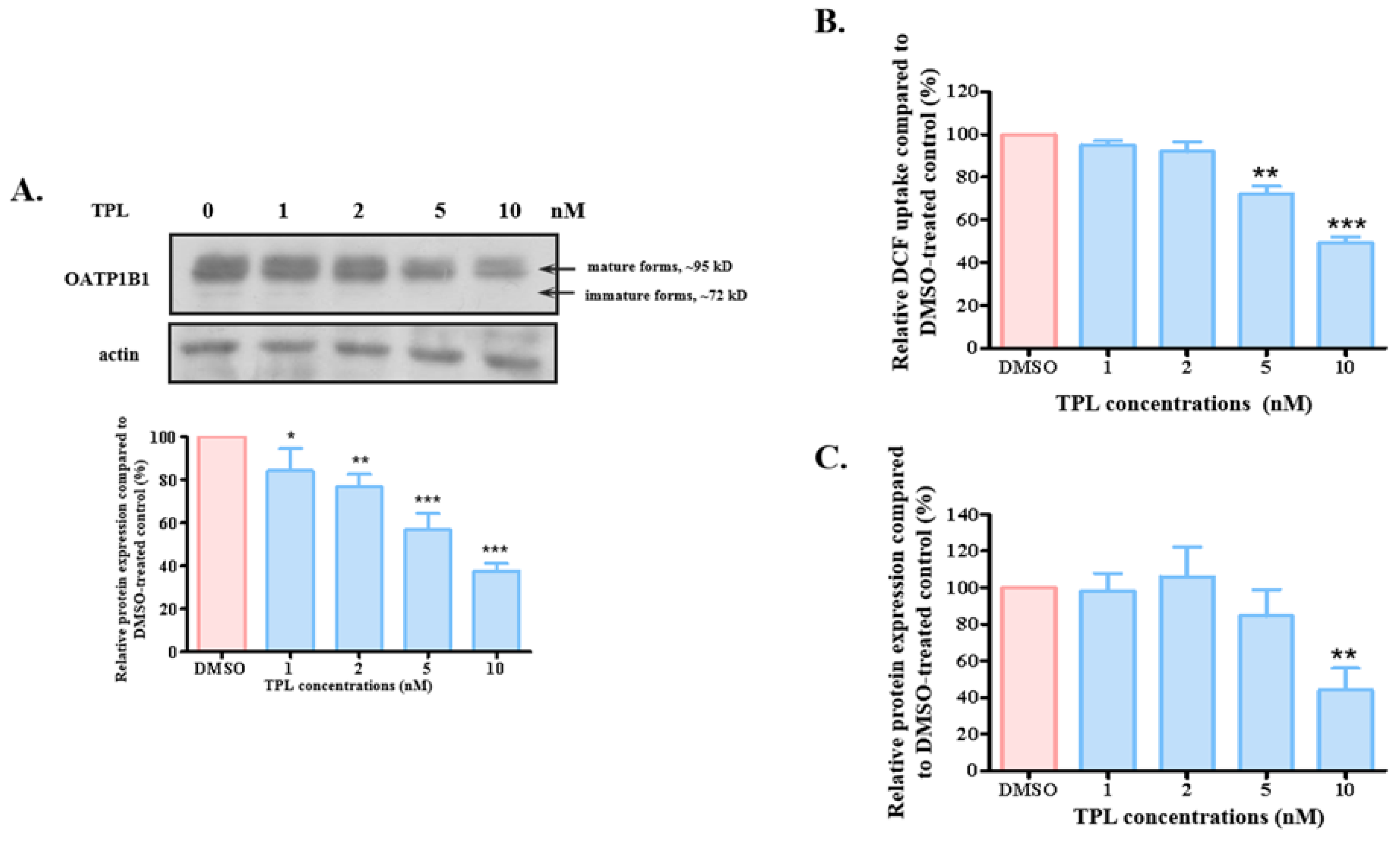 Biology 14 01618 g003