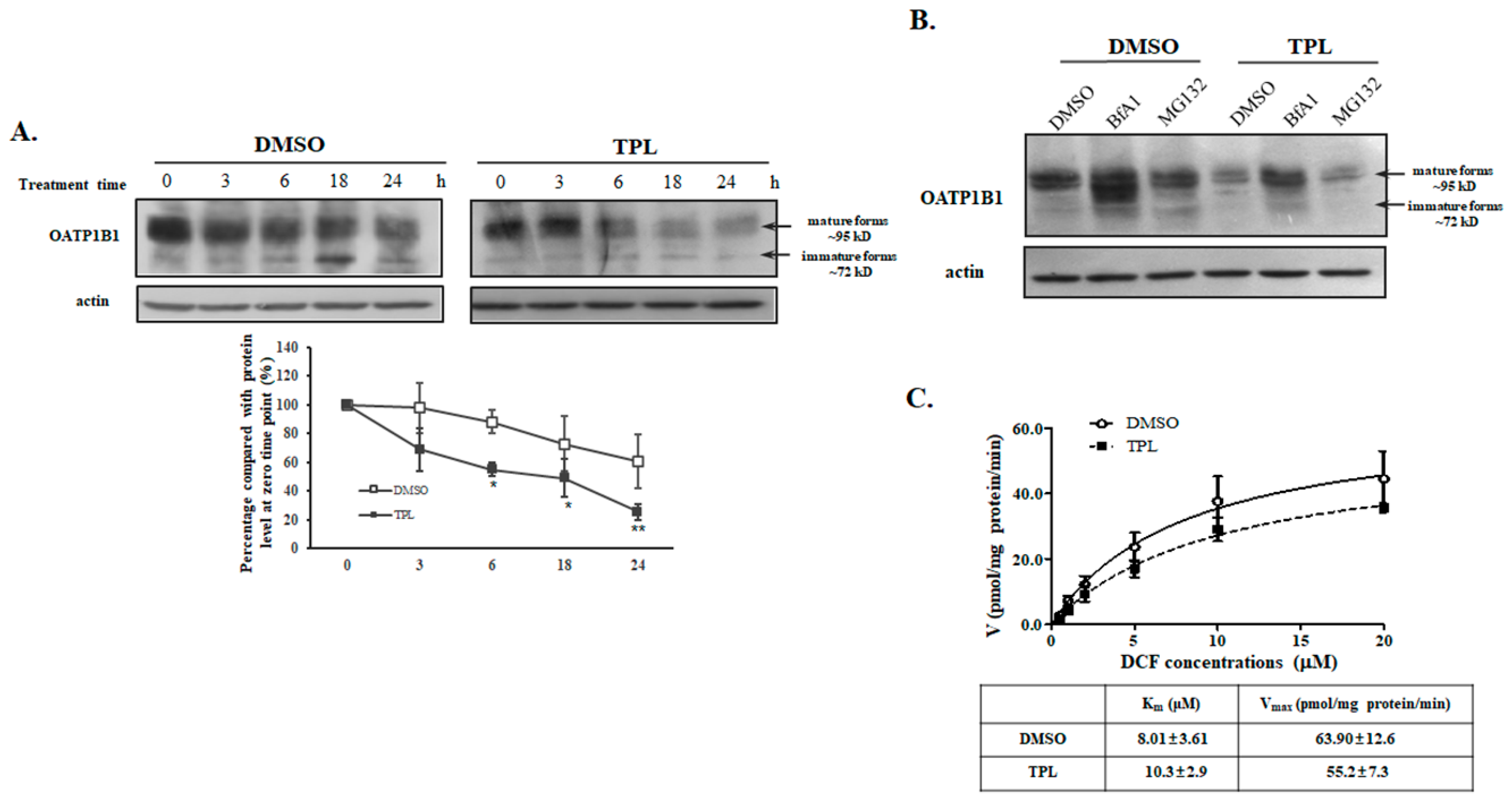 Biology 14 01618 g004