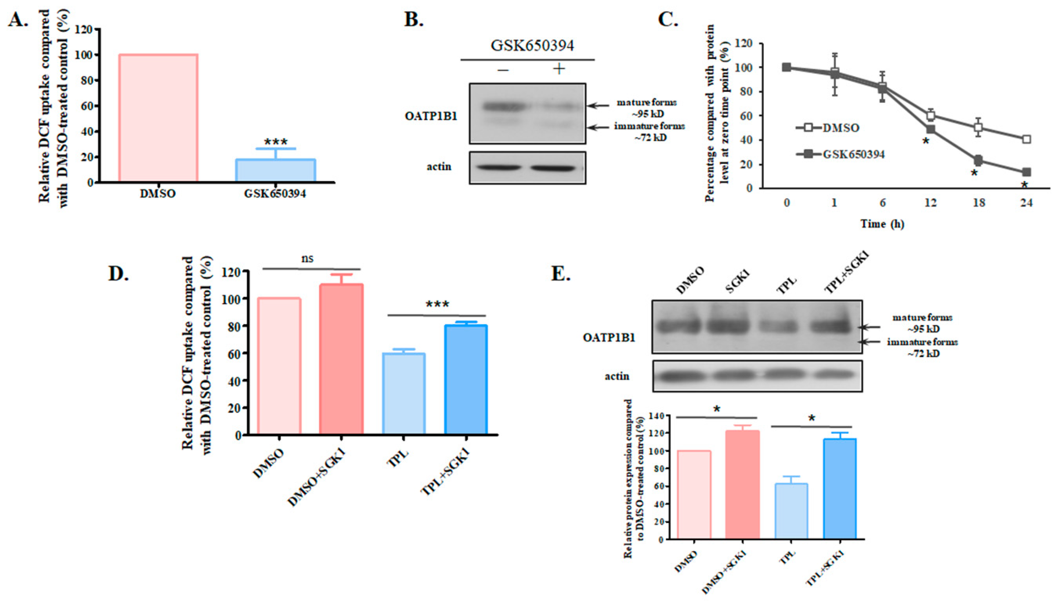 Biology 14 01618 g005