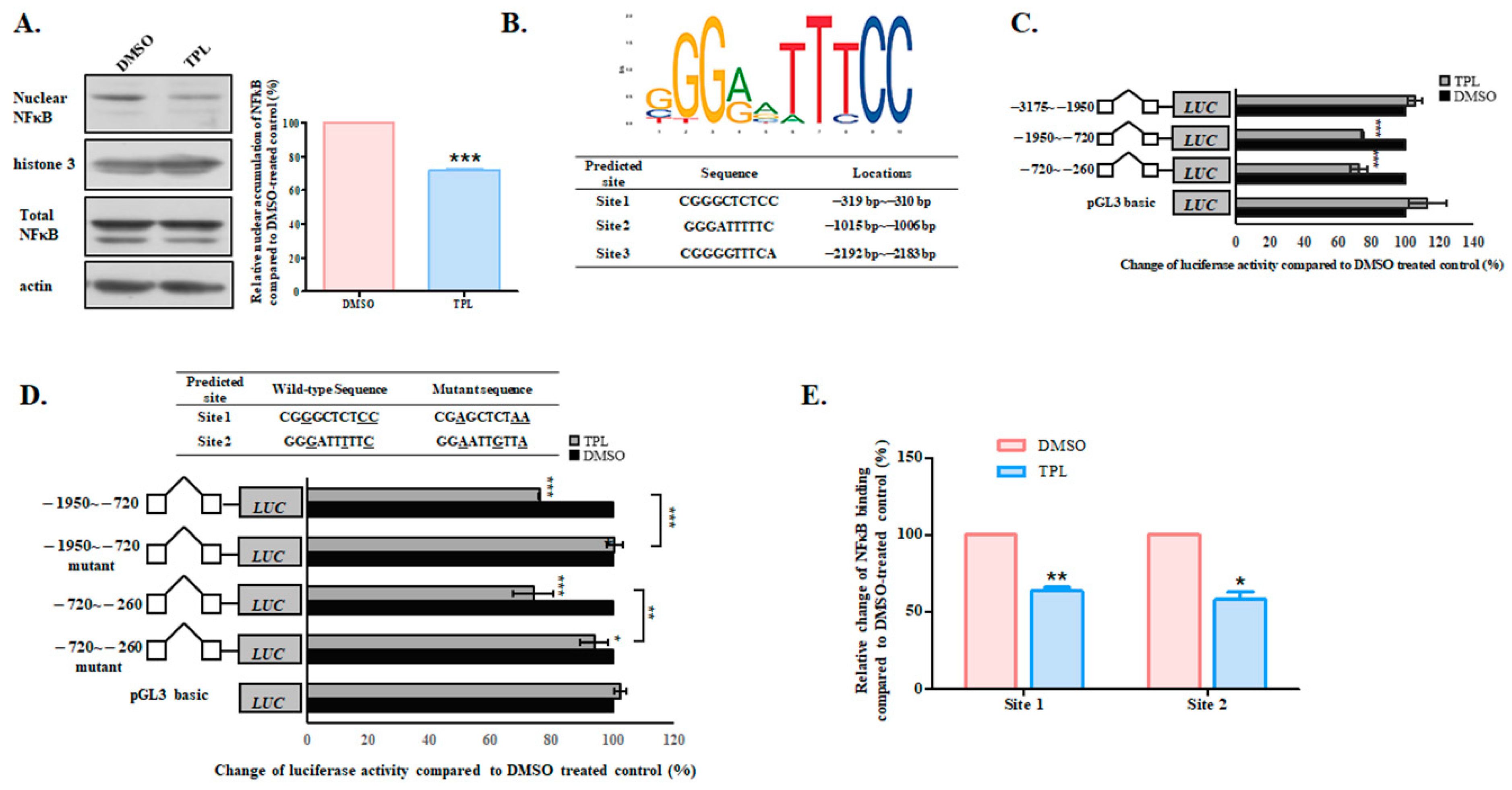 Biology 14 01618 g007