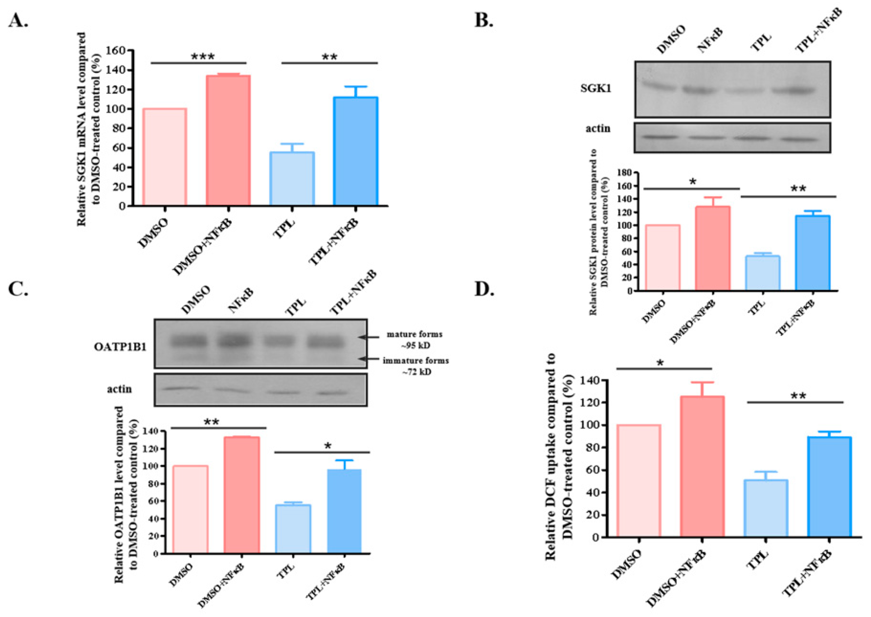 Biology 14 01618 g008