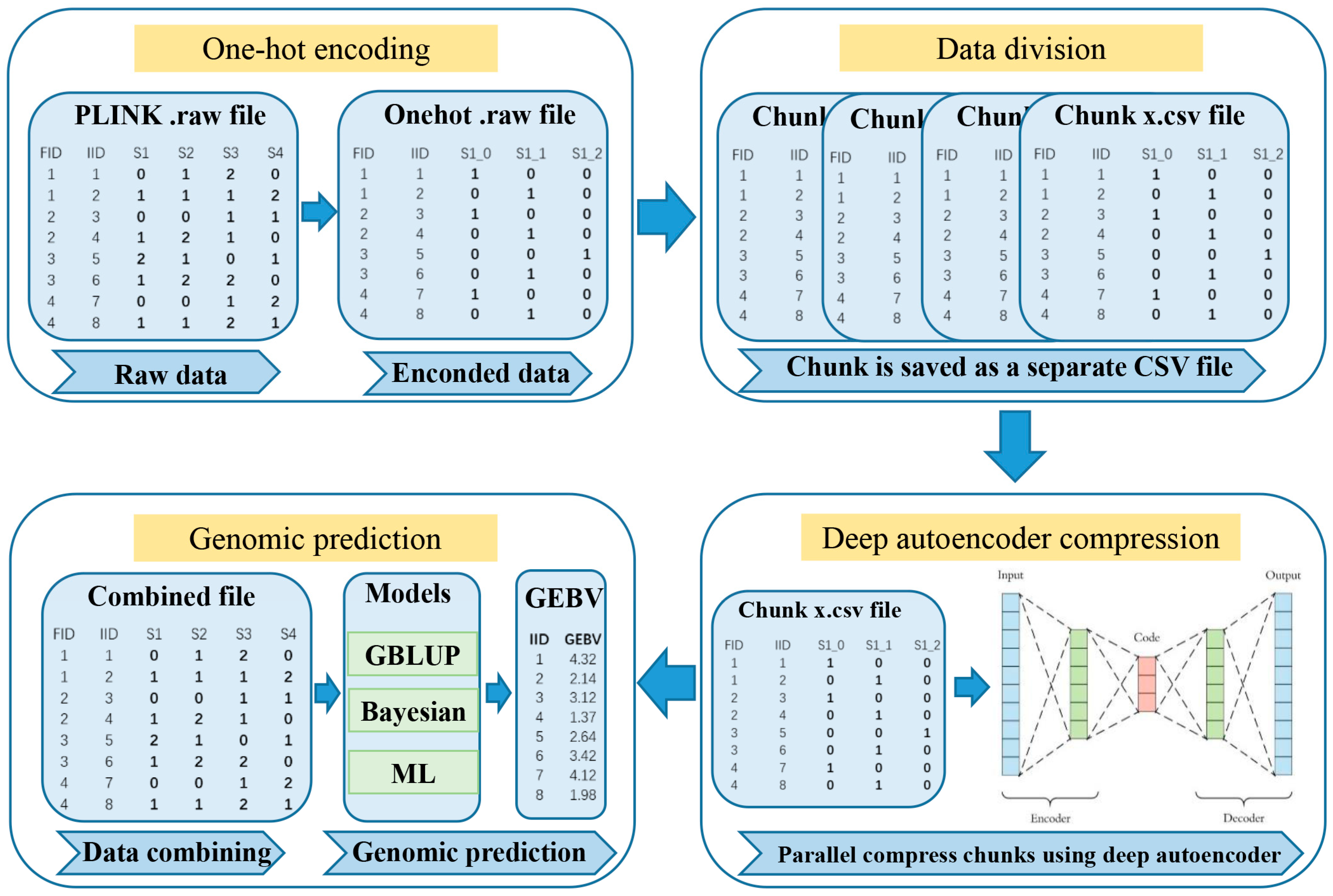 Biology 14 01622 g001
