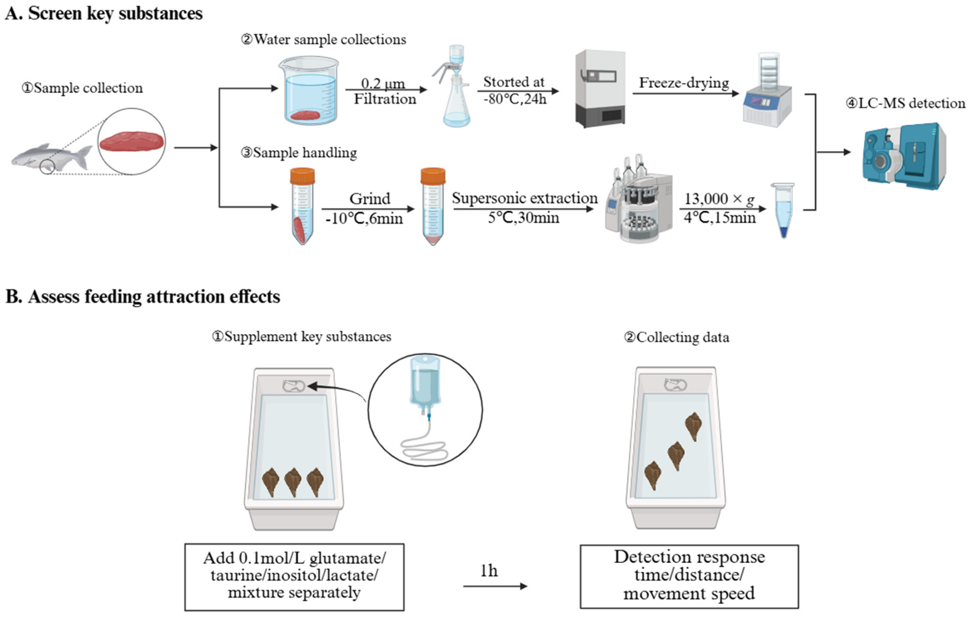 Biology 14 01627 g001