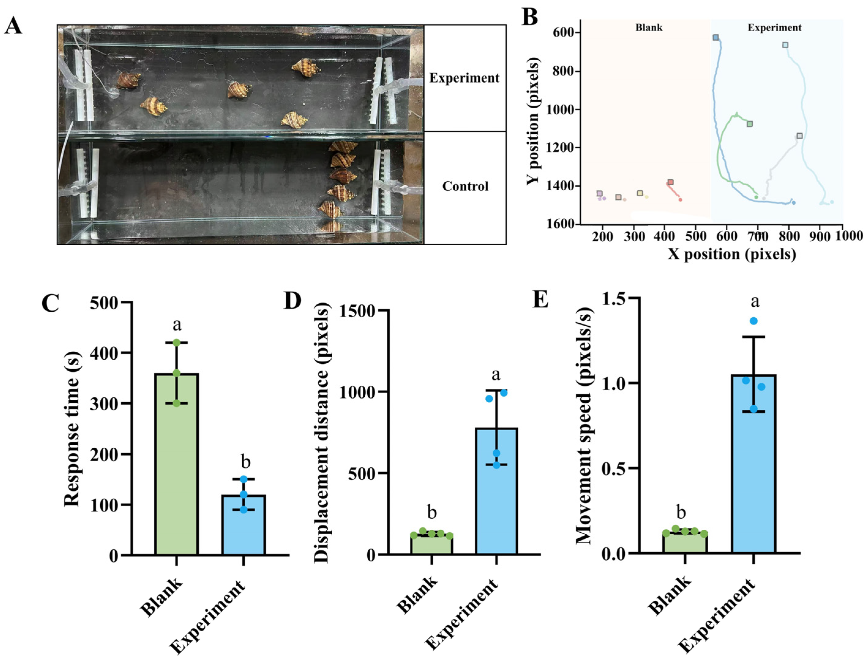 Biology 14 01627 g002